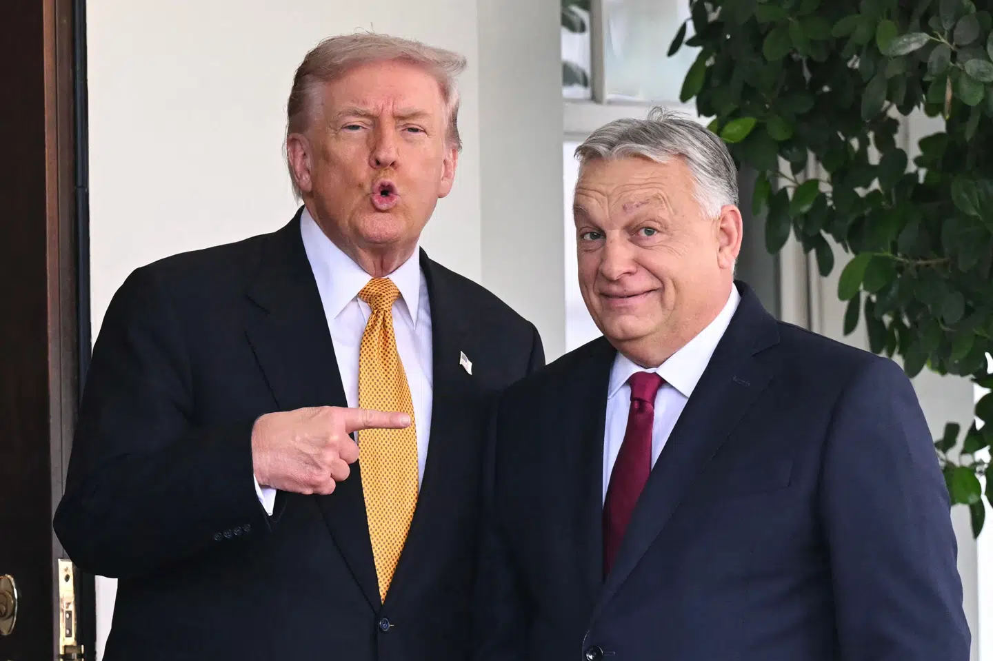 USA's præsident, Donald Trump, tog tidligt fredag aften dansk tid imod en af sine gode europæiske allierede, den ungarske premierminister, Viktor Orbán. Det er Orbáns første besøg i Det Hvide Hus, efter at Trump vendte tilbage til magten i januar.