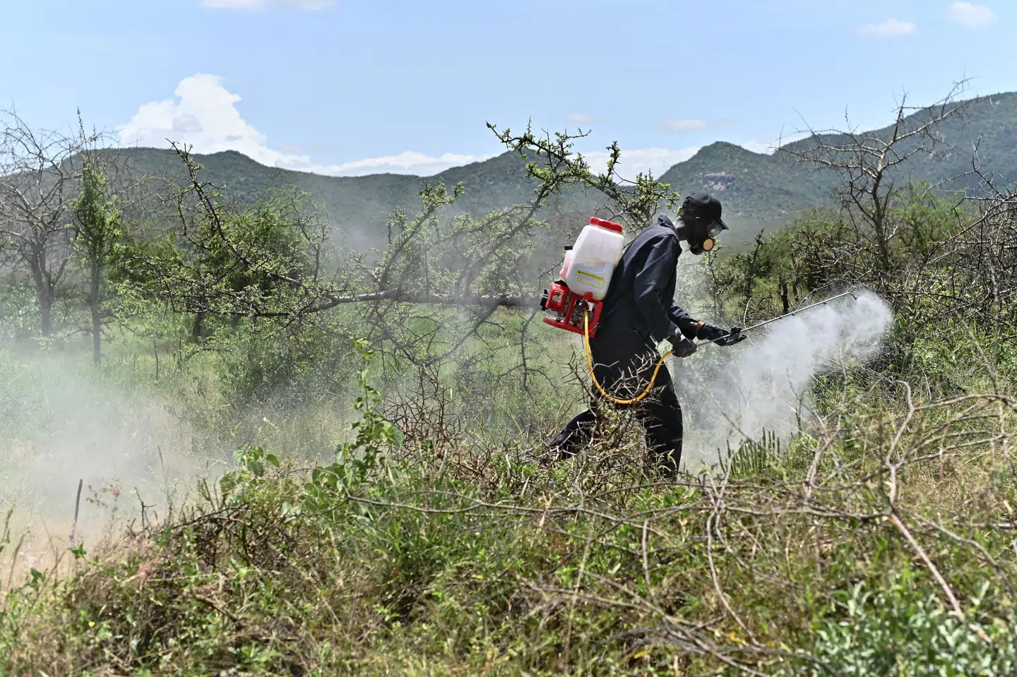 Danmark sælger tonsvis af pesticider til fattige lande, hvor der ikke er samme miljøregulering som i EU. (Arkivfoto).