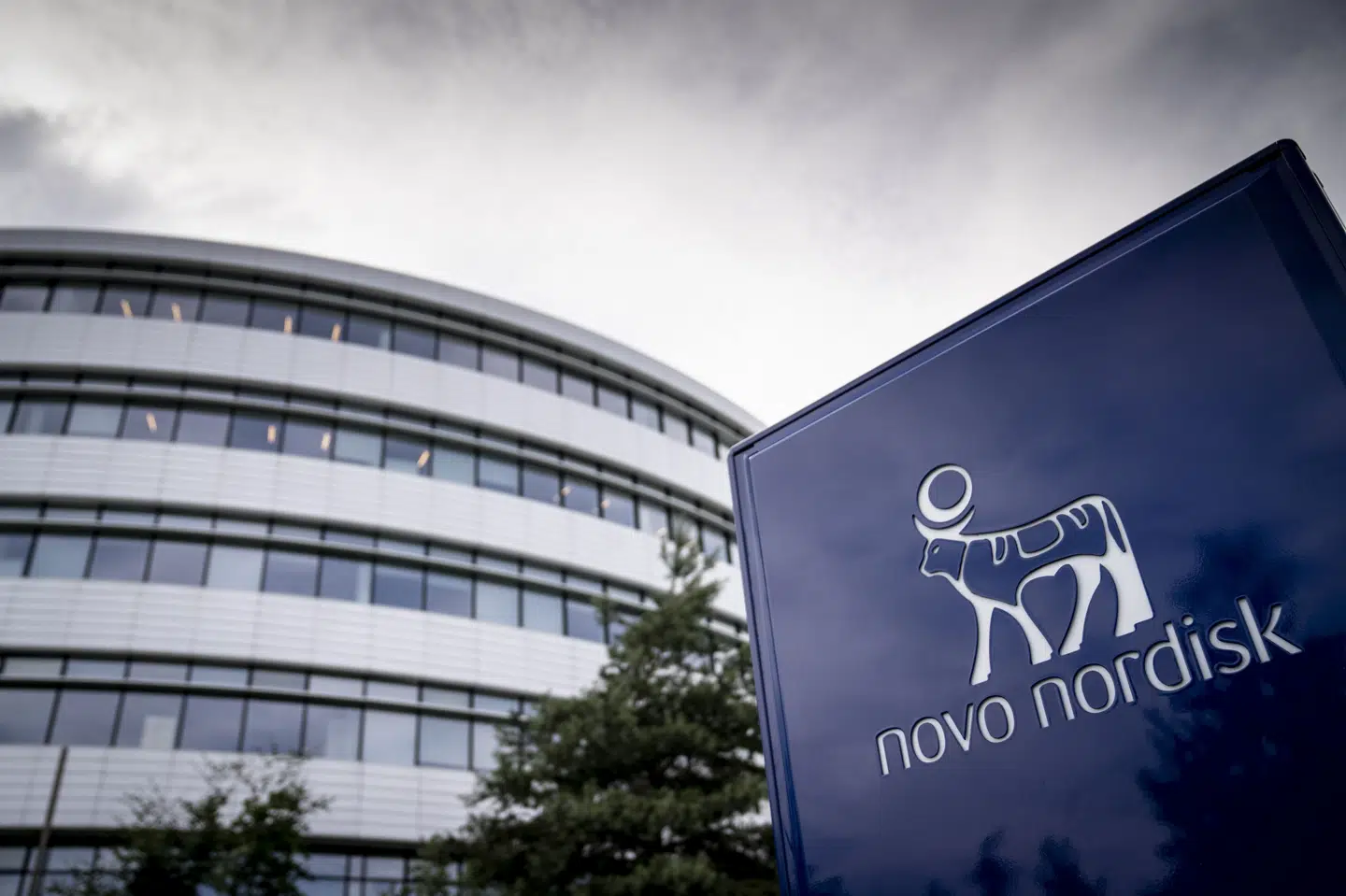 Novo Nordisk var opsat på at få fat i biotekselskabet Metsera, men virksomhedens bestyrelse anbefaler aktionærerne en aftale med Novo-konkurrenten Pfizer i stedet. (Arkivfoto).