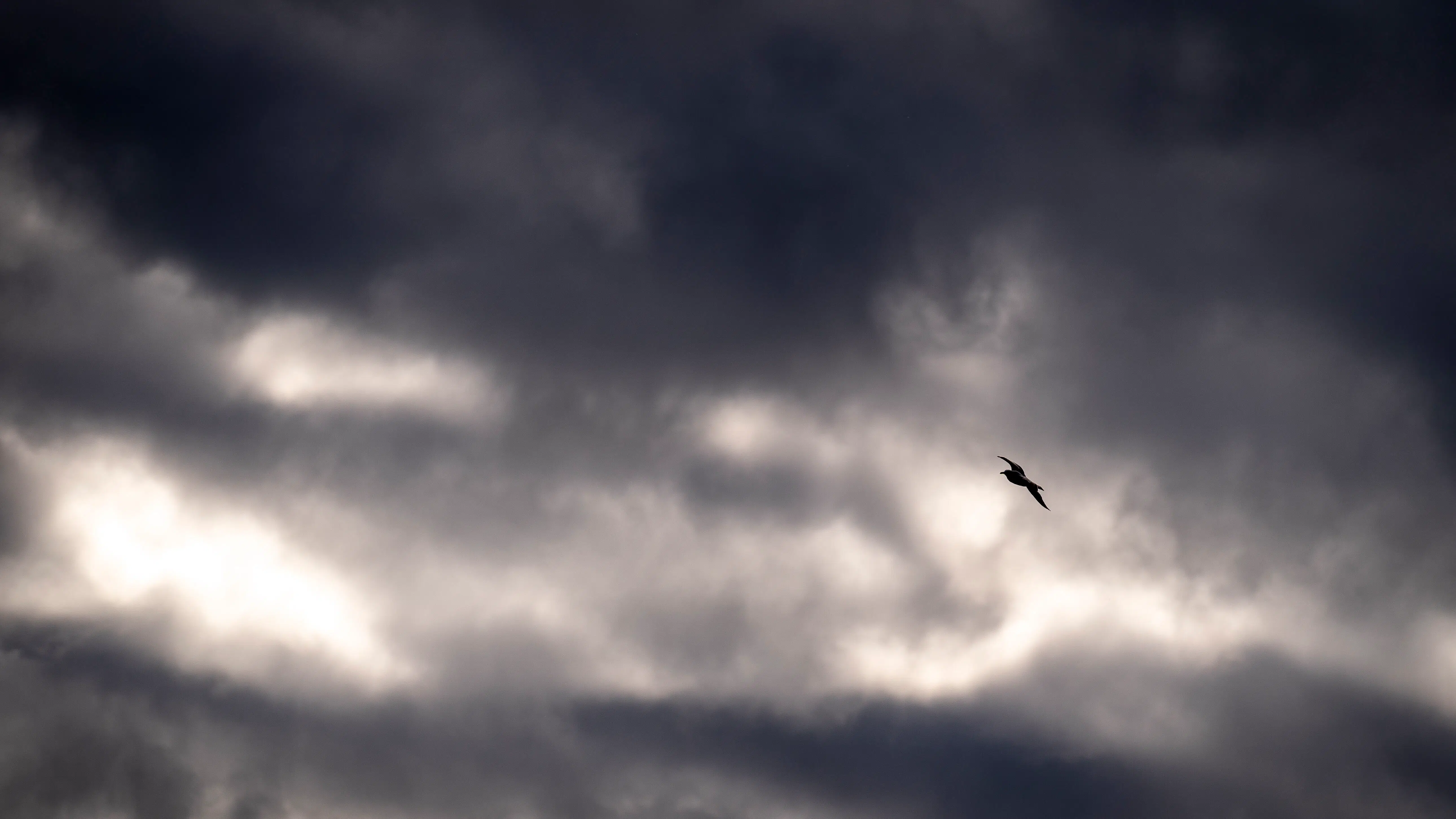 Søndag uden de store overraskelser: Der er dog lige én ting