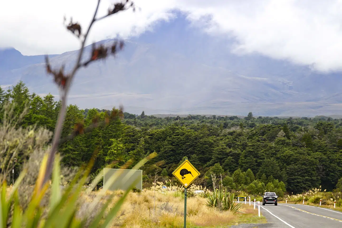 Billede af nationalparken Tongariro National Park i New Zealand, der denne weekend er ramt af en skovbrand, der endnu ikke er under kontrol. (Arkivfoto).