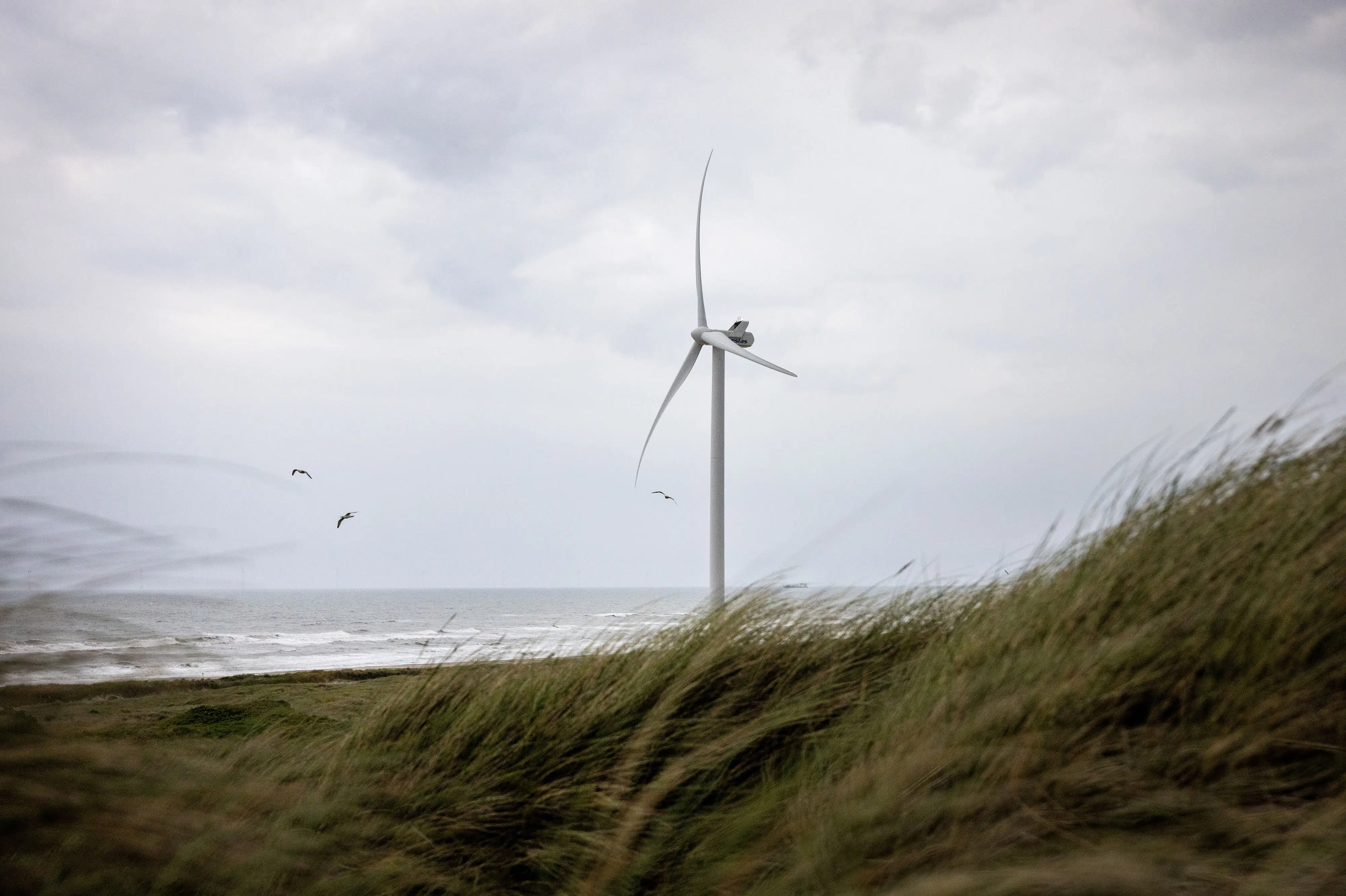 Fremtiden kan byde på færre udsving i elprisen
