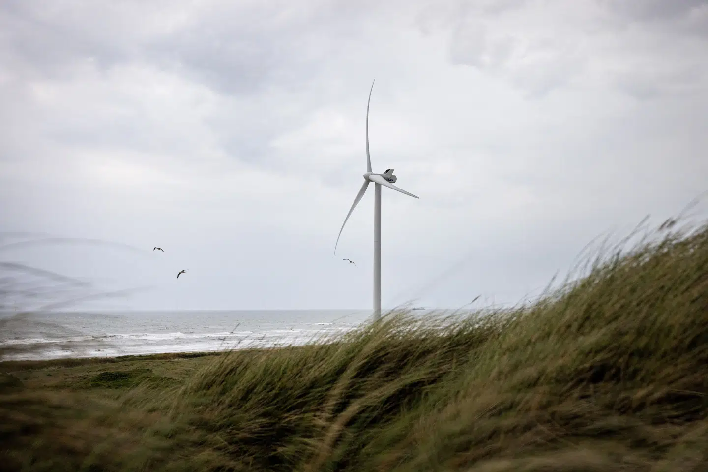 Strøm fra vindmøller og solceller samt ny batteriteknologi kan i fremtiden udligne elprisen. Sådan lyder det i en ny analyse fra brancheorganisationen Green Power Denmark. (Arkivfoto).