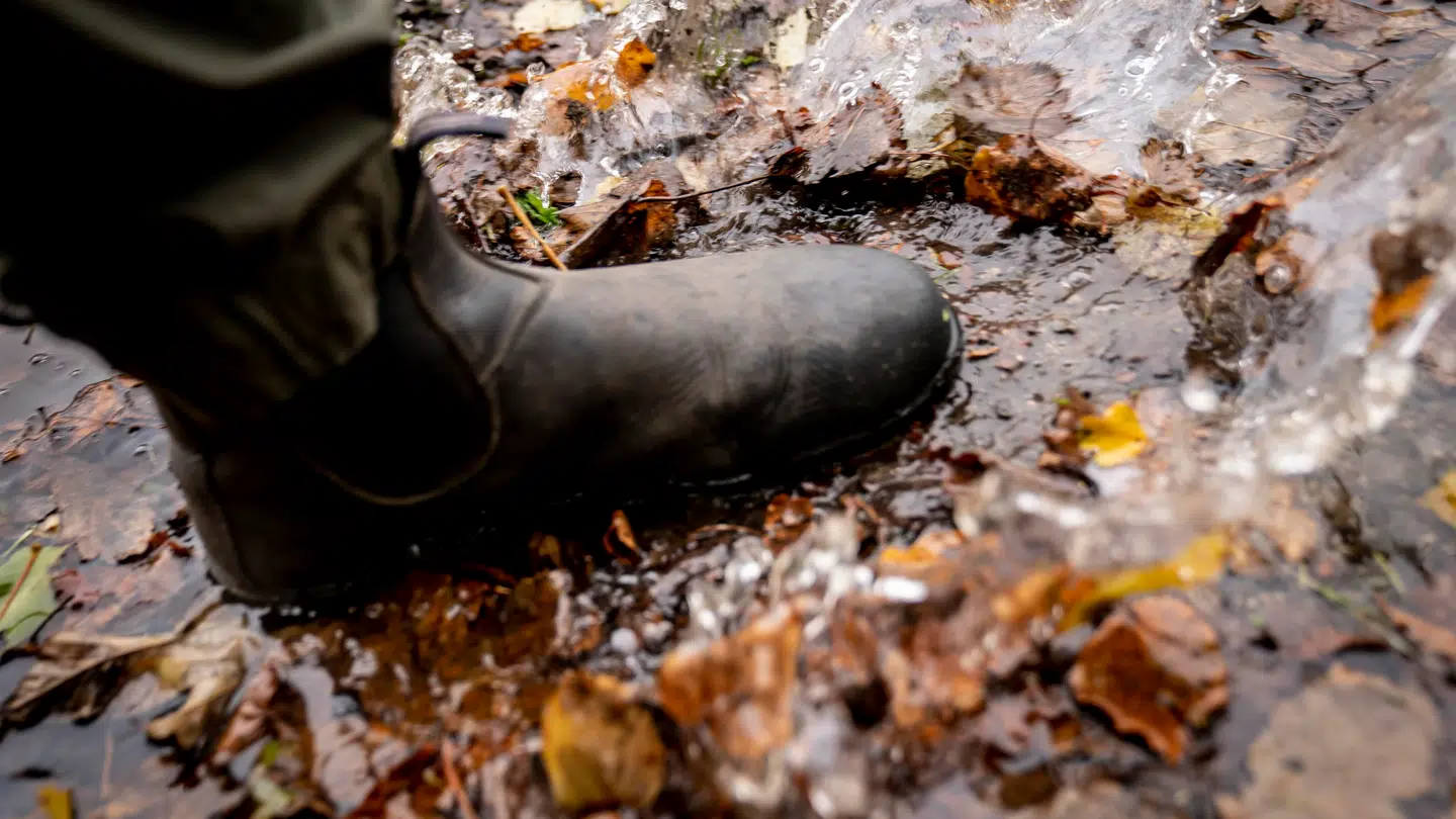 På med gummirøjserne de næste dage, hvor vejret bliver til den våde side mange steder. (Arkivfoto)