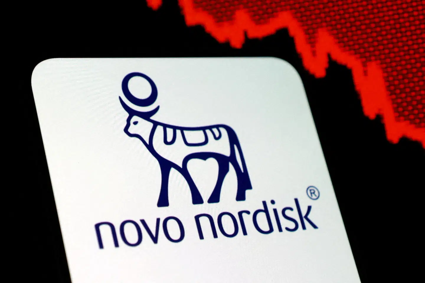 FILE PHOTO: Novo Nordisk logo and decreasing stock graph are seen in this illustration taken on August 5, 2025. REUTERS/Dado Ruvic/Illustration/File Photo