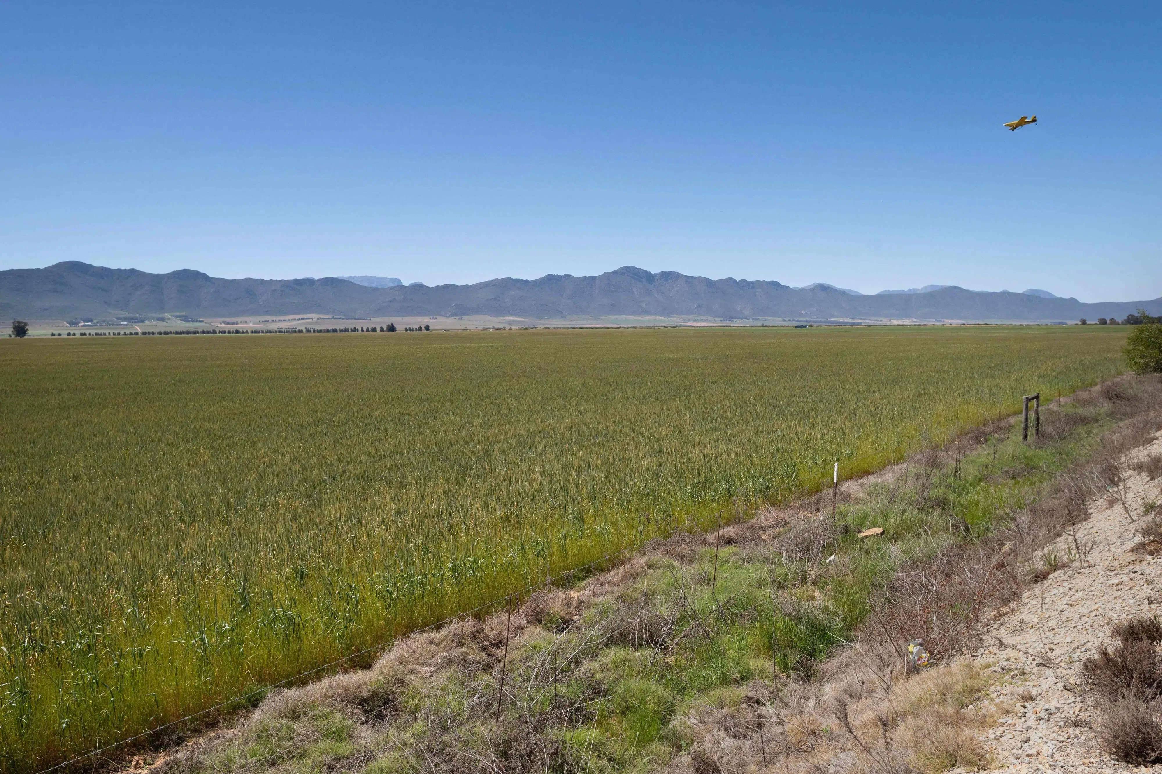 Danmark bruger 150 millioner på at rejse penge til klimatiltag i Afrika