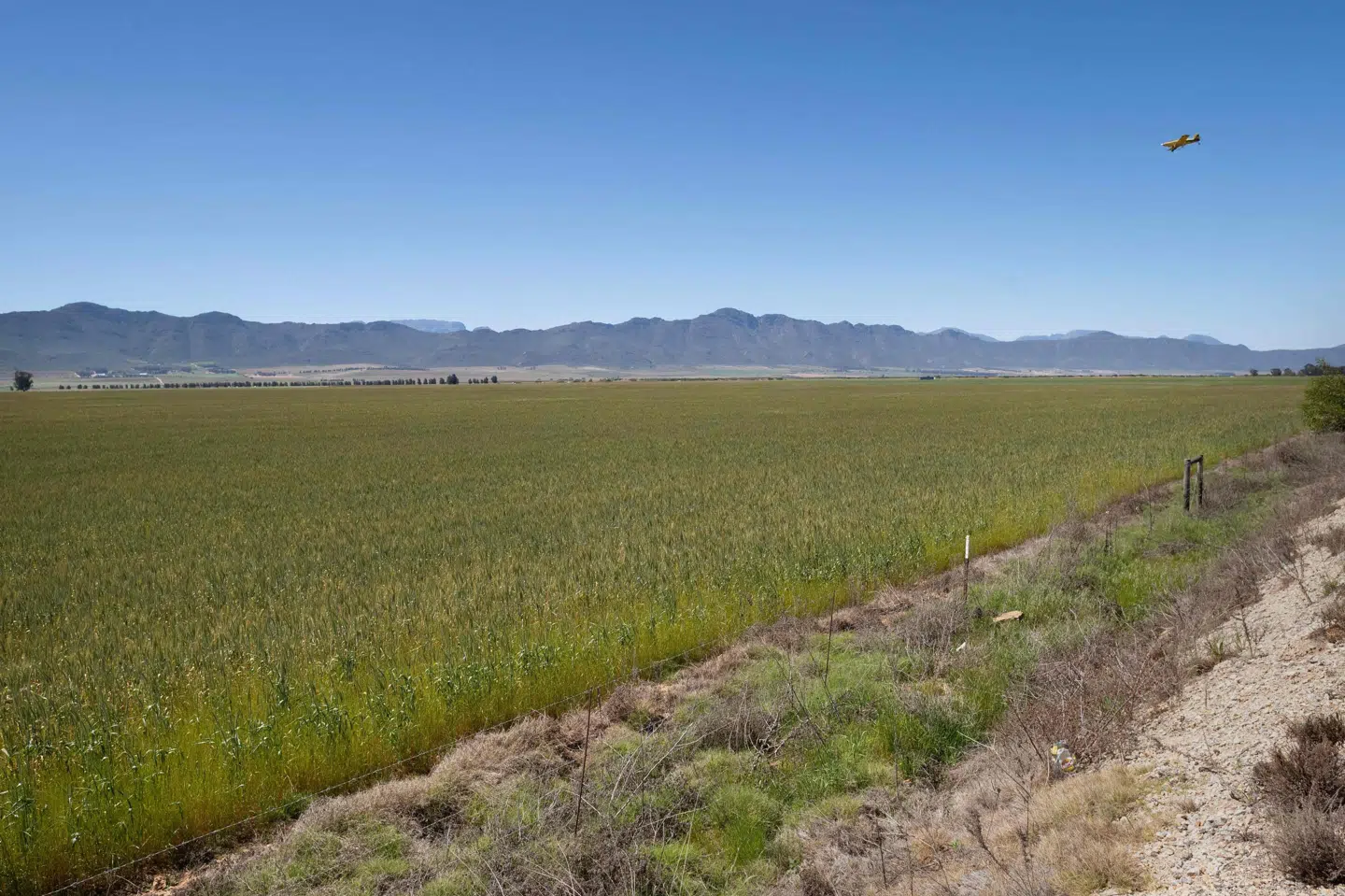 Det afrikanske landbrug har brug for hjælp til klimatilpasning, hvilket Danmark med ny millionindsprøjtning hjælper med at rejse private investeringer til. (Arkivfoto).