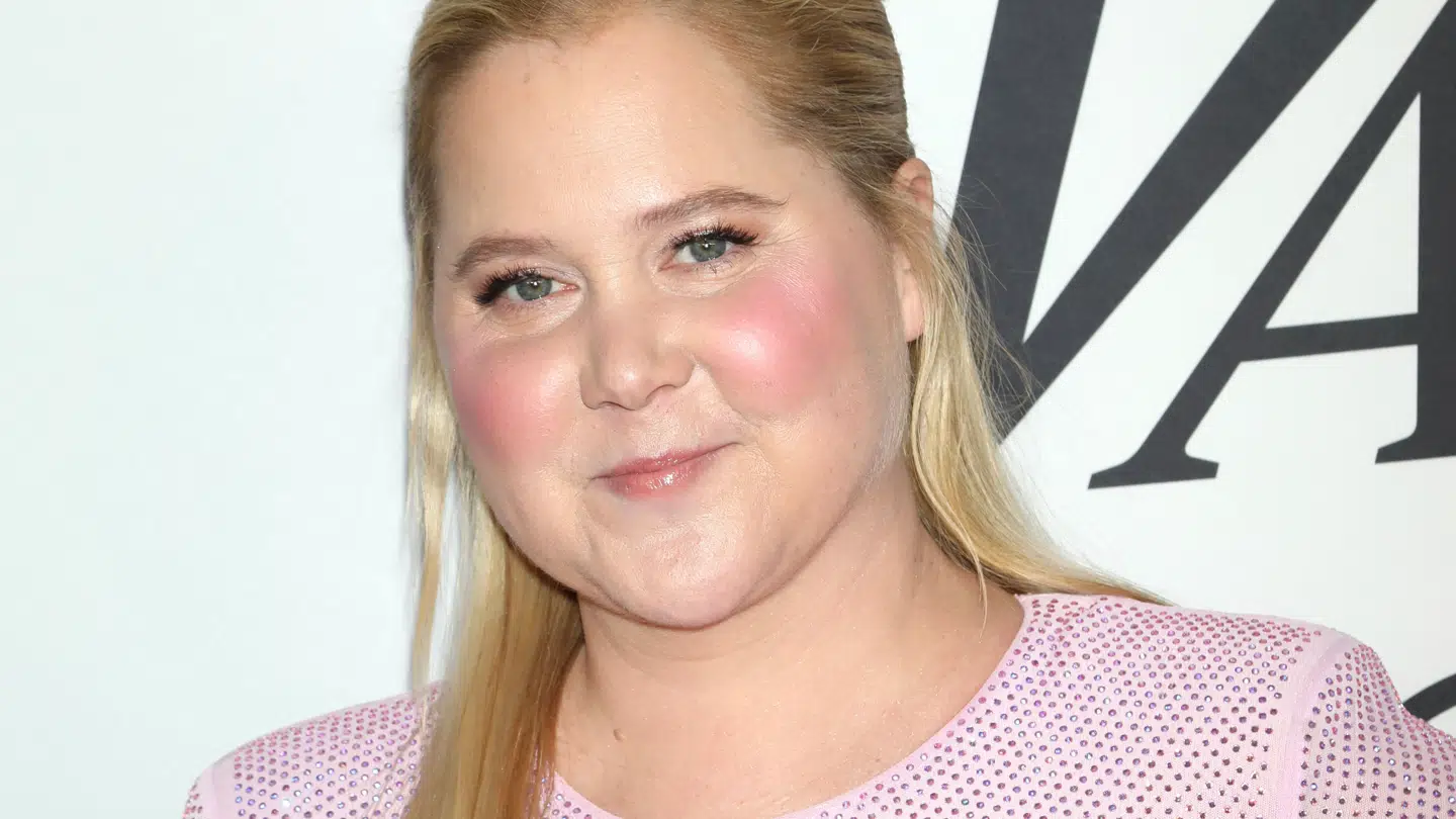 Amy Schumer er stærkt utilfreds med, at der spekuleres i sletningen af hendes mange billeder på Instagram.