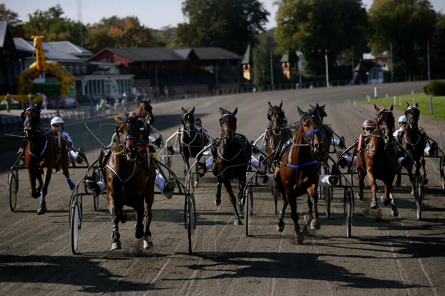 Charlottenlund Travbane har i mere end 100 år lagt land til hestevæddeløb. Arkivfoto: Liselotte Sabroe