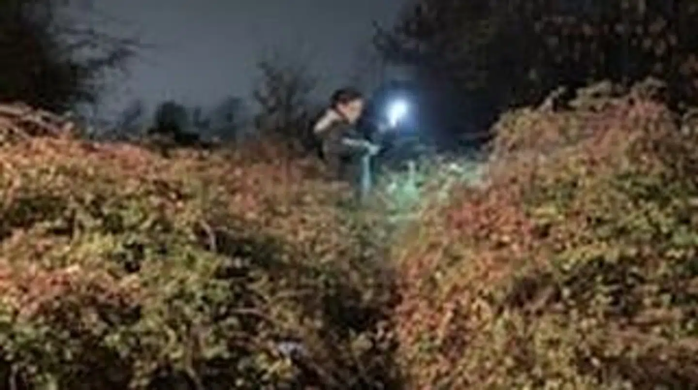 I første omgang måtte en repræsentant fra Dyrenes Beskyttelse og et vidne lede efter Fiona i en hæk.