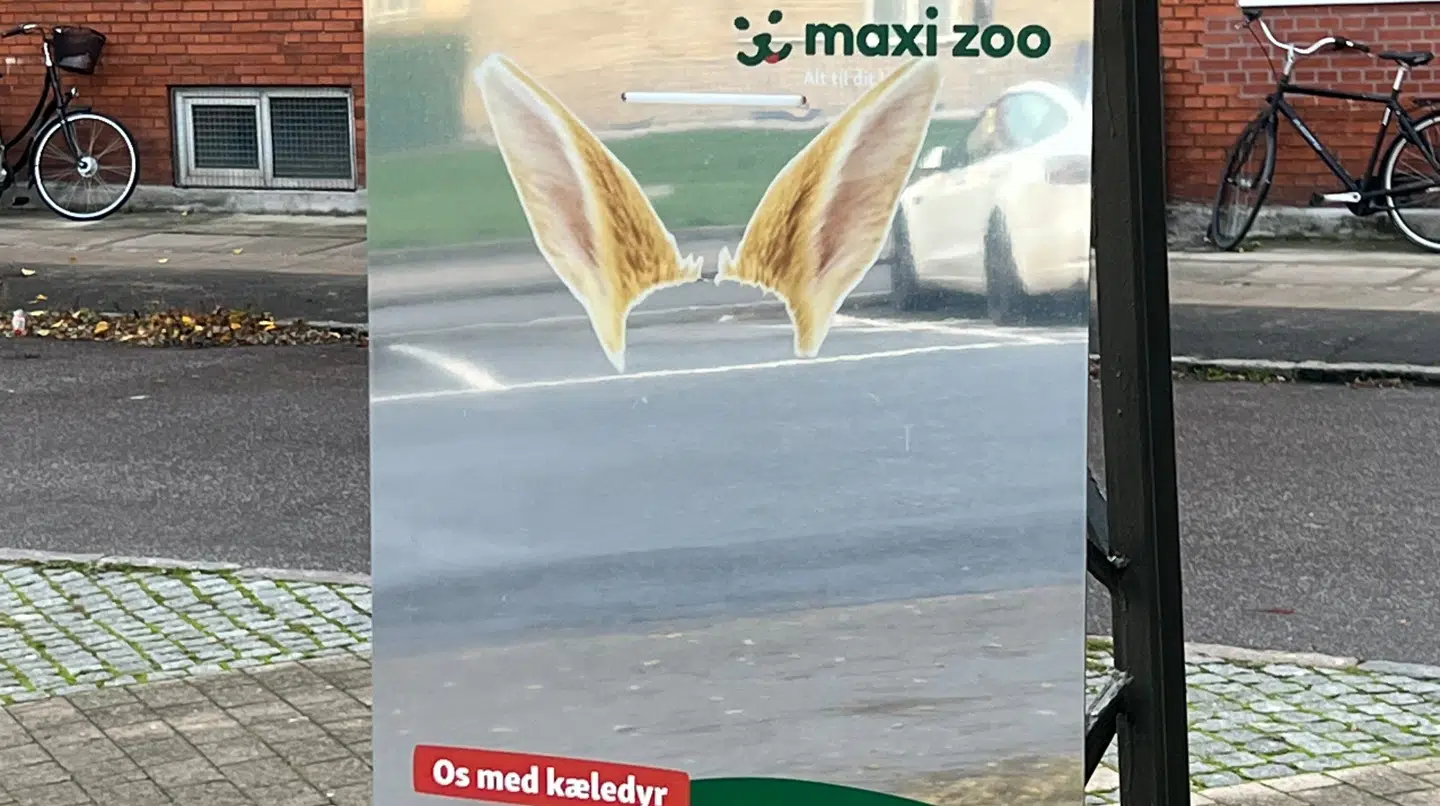 Maxi Zoos plakat er set på Amager.