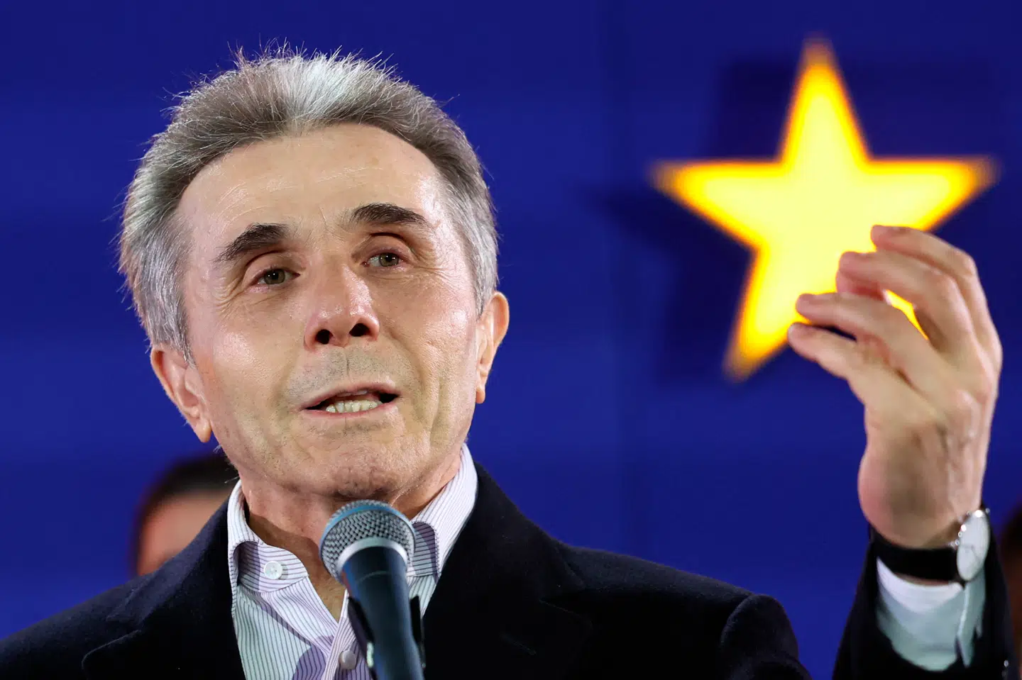 Lederen af regeringspartiet Georgiens Drøm, Bidzina Ivanisjvili. Foto: Giorgi Arjevanidze, Scanpix.