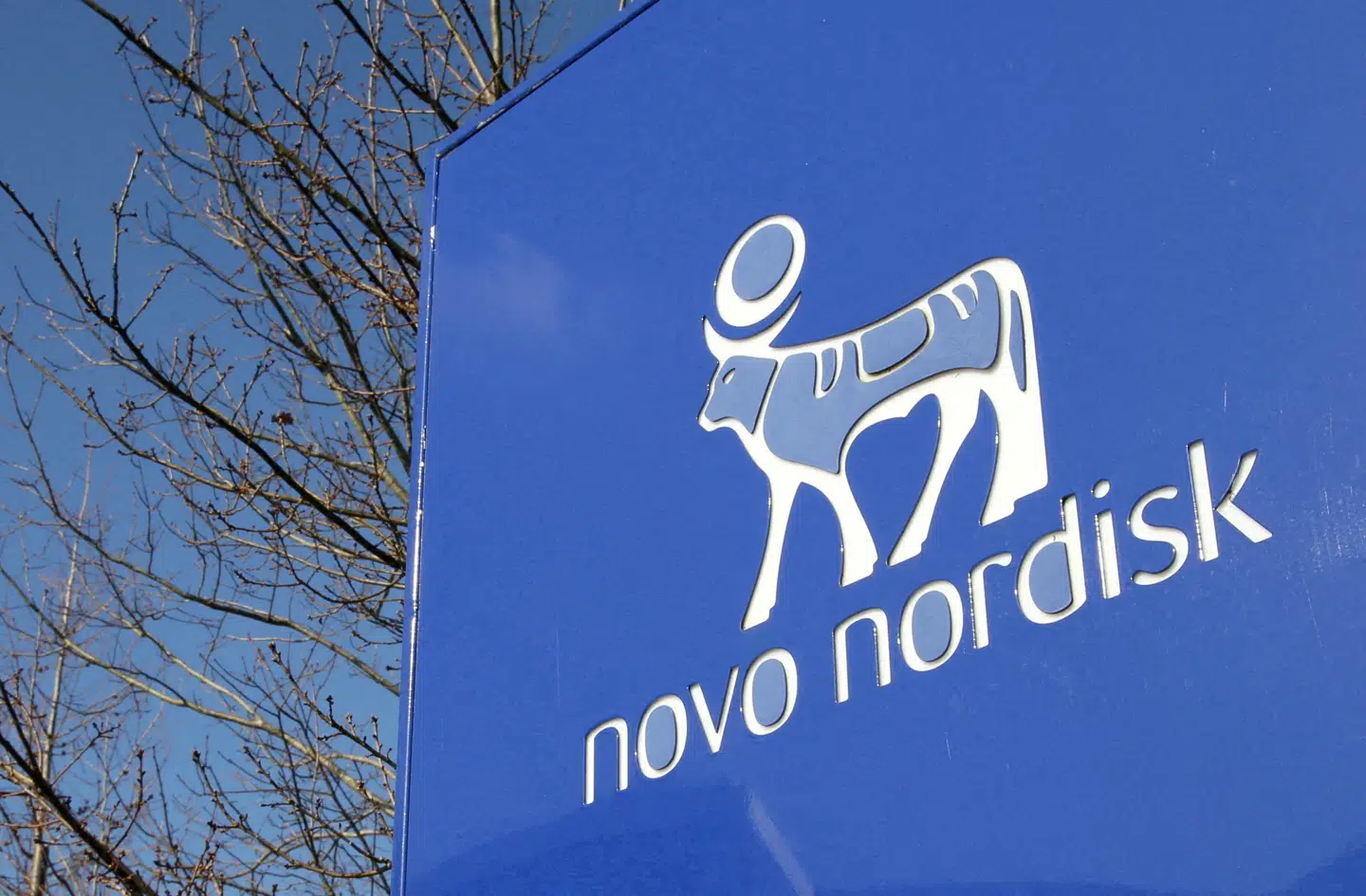 FILE PHOTO: A view shows the logo of Novo Nordisk at the company's office in Bagsvaerd, on the outskirts of Copenhagen, Denmark, March 8, 2024. REUTERS/Tom Little/File Photo