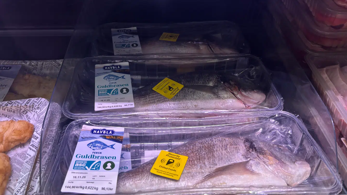 Her ses en fisk, der også har fået en alarm sat på.