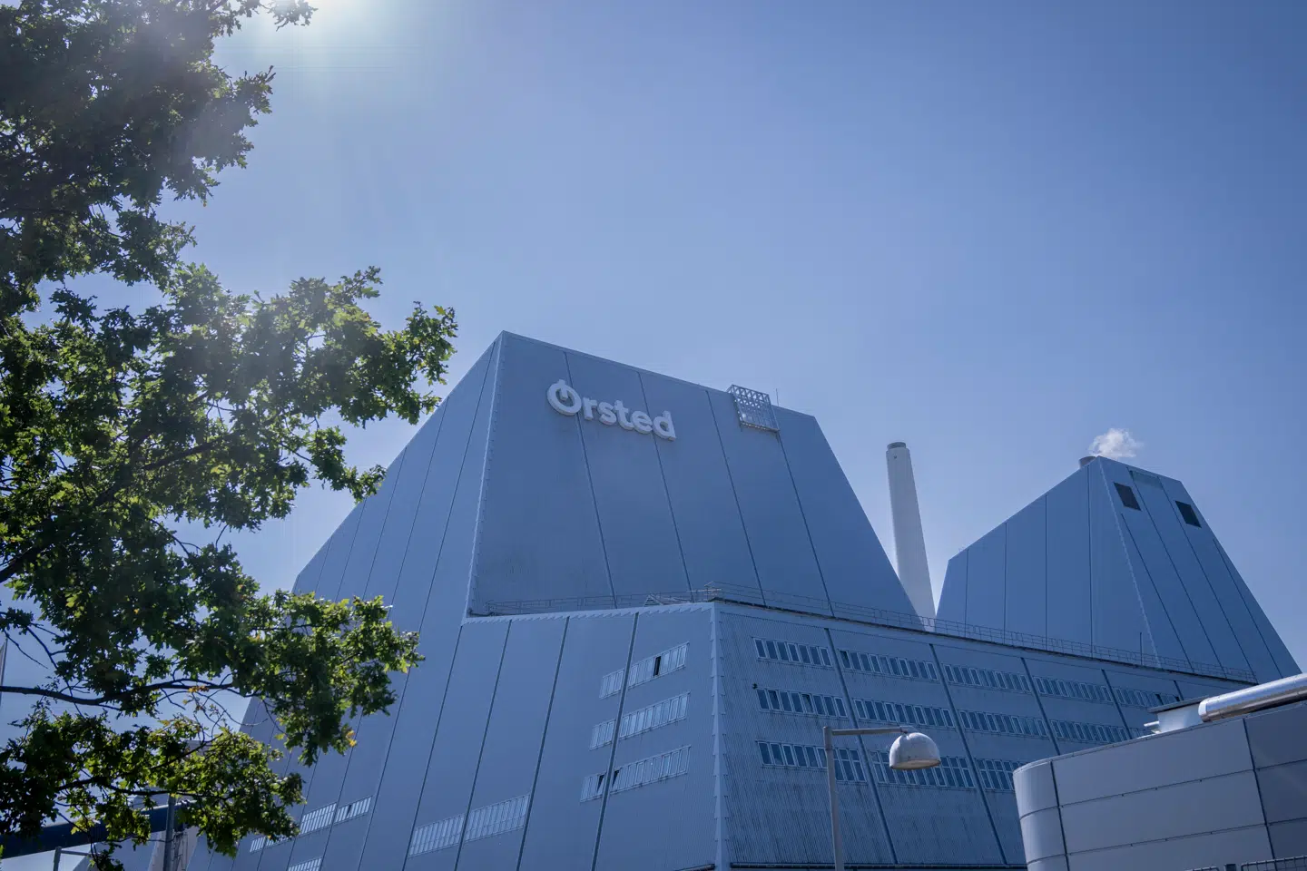 Ørsted befinder sig i dyb krise, og staten har skudt milliarder ind. Men hvis aktionærerne kunne vælge frit, ville de så pege på Lene Skole som bestyrelsesformand?