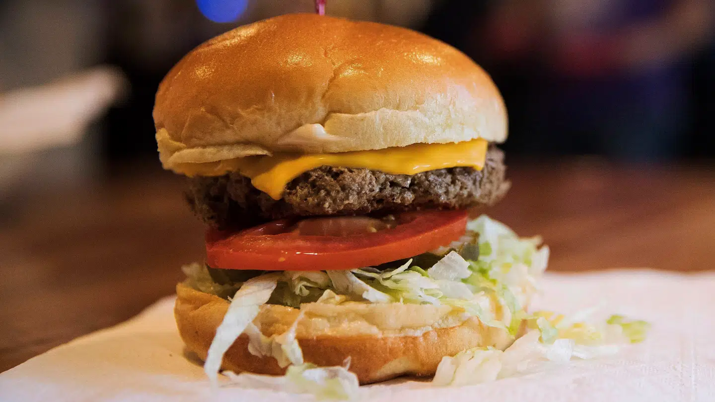 (arkivbillede). En burger kombineret med en flåt gjorde det af med 47-årig pilot.