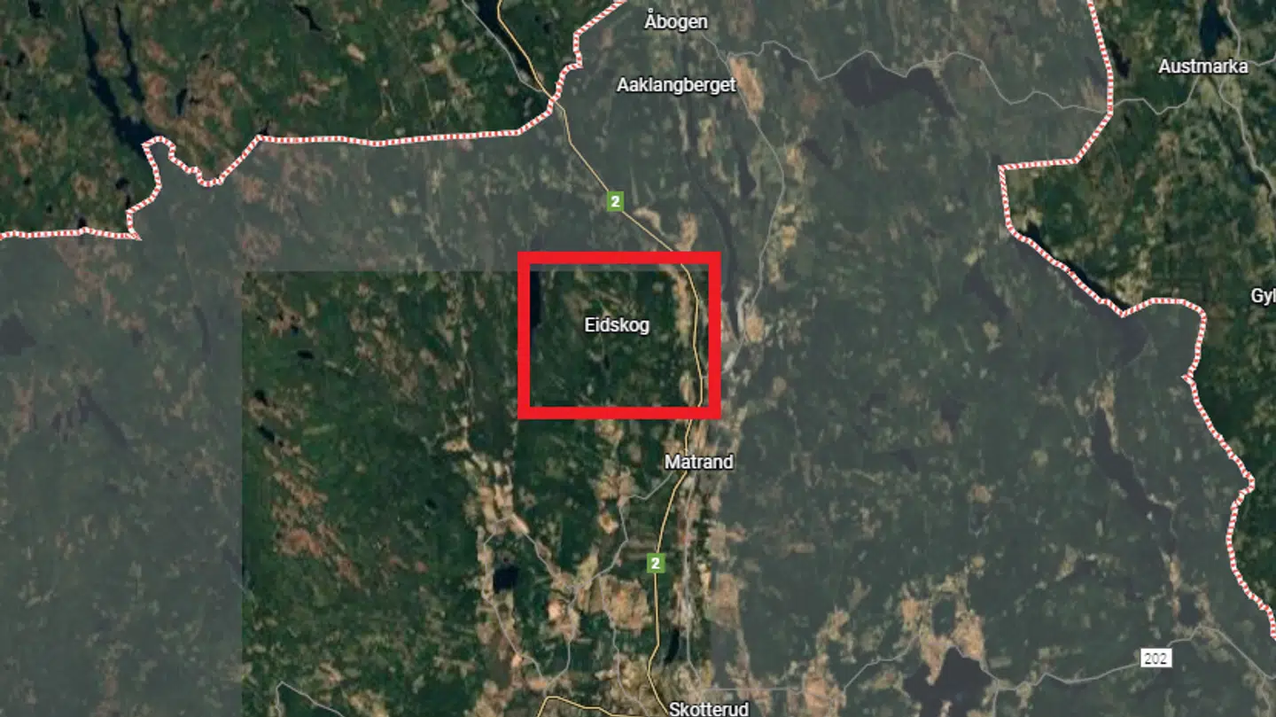 Nazifestivalen, der blev afholdt i Norge, er nu blevet afblæst.