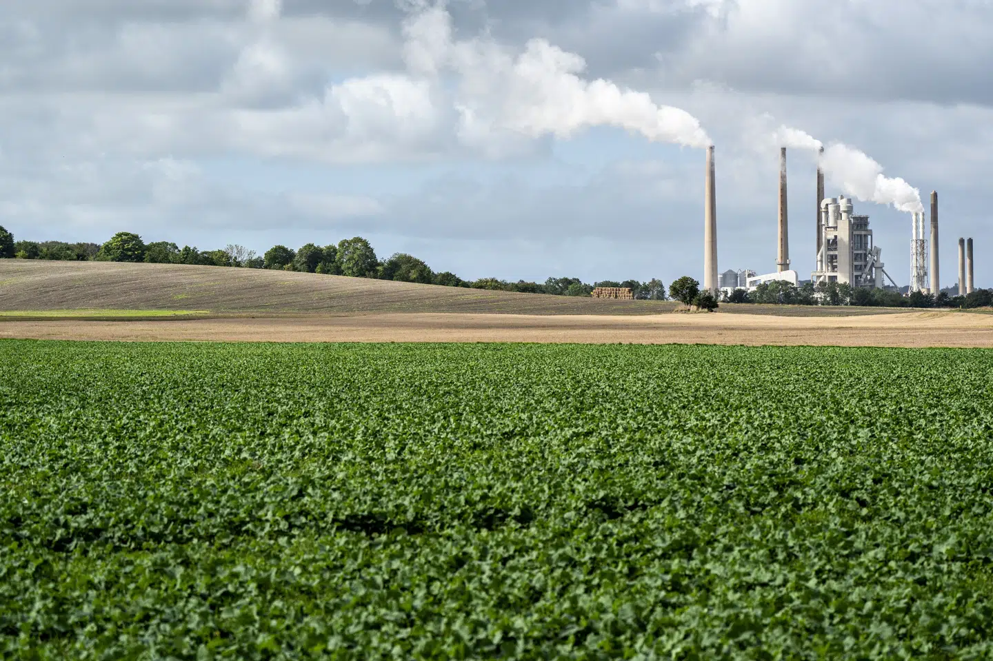 Regeringen foreslår, at Danmark skal reducere udledninger af drivhusgas med 82 procent i forhold til udledningerne i 1990. (Arkivfoto).