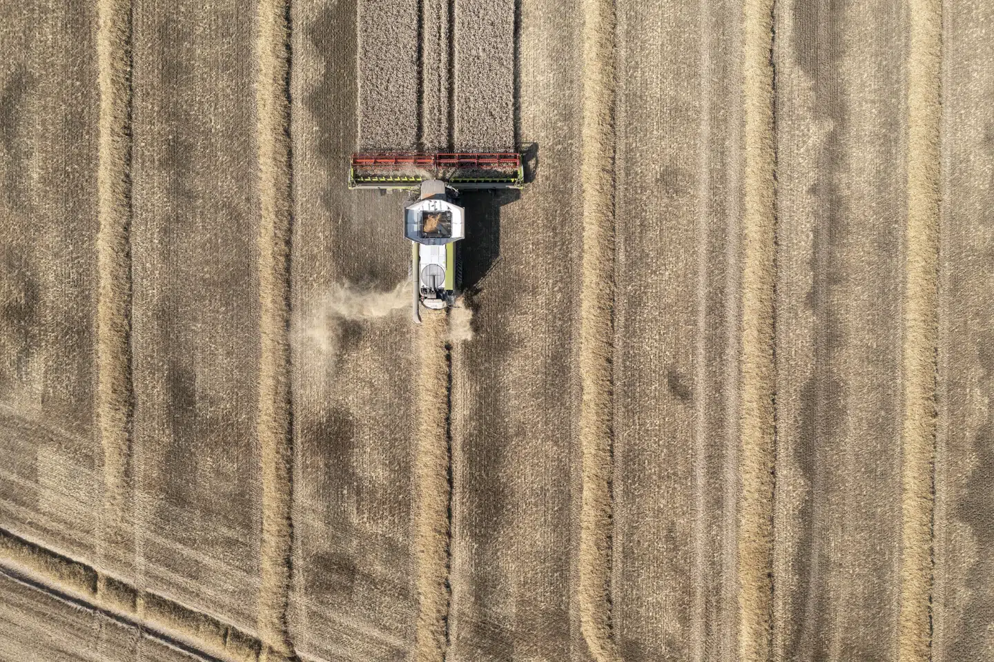 Årets kornhøst er blevet hjulpet på vej af solrigt vejr på de rigtige tidspunkter. Billedet viser en kornmark ved Køge i 2022. (Arkivfoto).