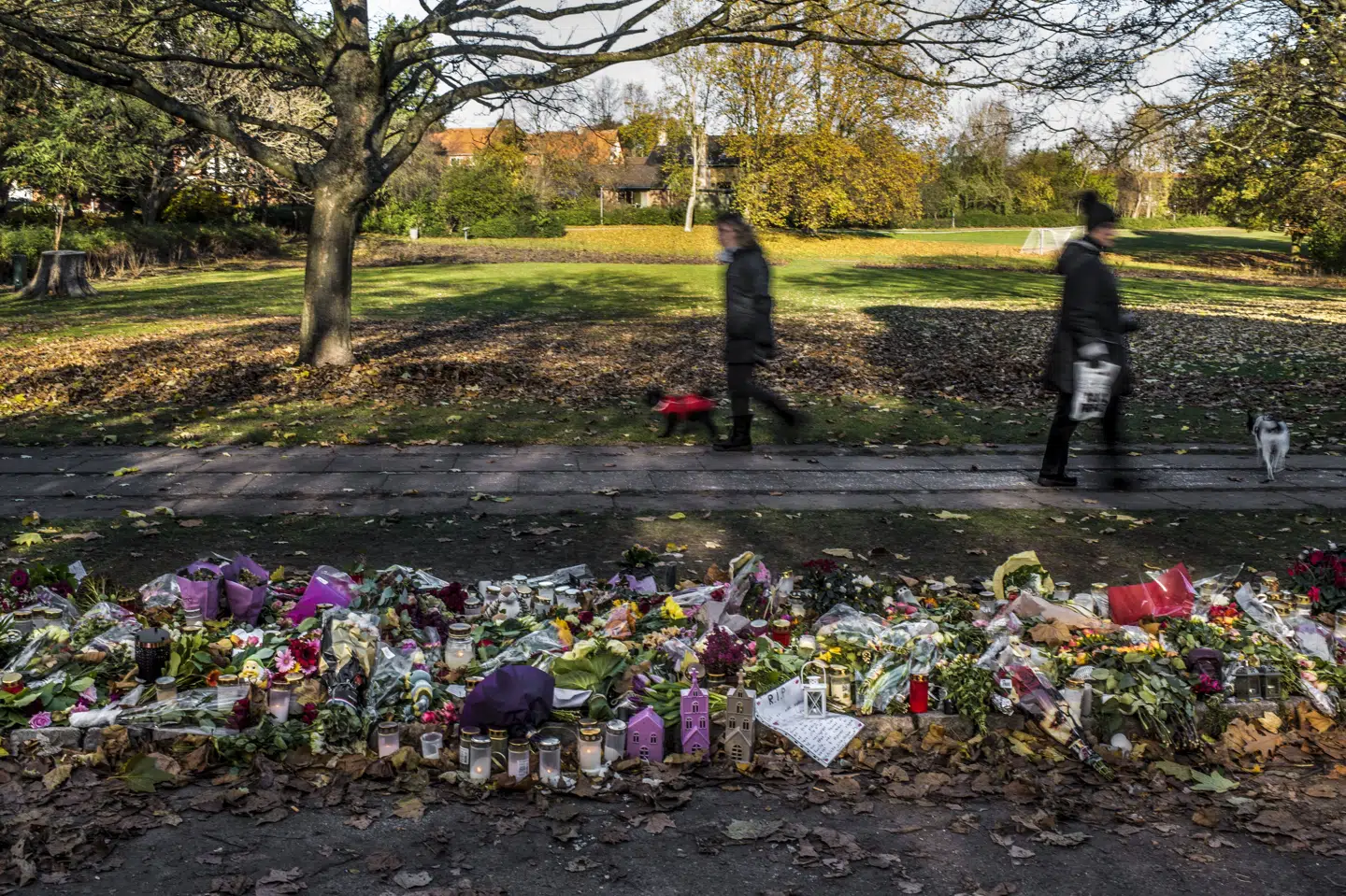 Gerningsmanden bag drabet på den gravide Louise Borglit i Elverparken i Herlev i 2016, den i dag 32-årige Alexander Toro Møllmann, blev tirsdag dømt til fængsel på livstid. Mange mennesker lagde efter drabet for ni år siden blomster ved gerningsstedet. (Arkivfoto)