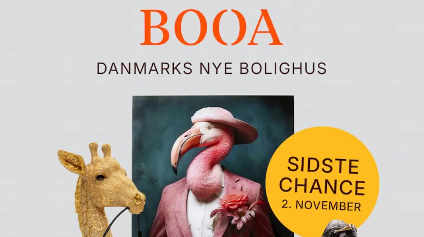 Screenshot af fødselsdagsannoncen fra BOOA.