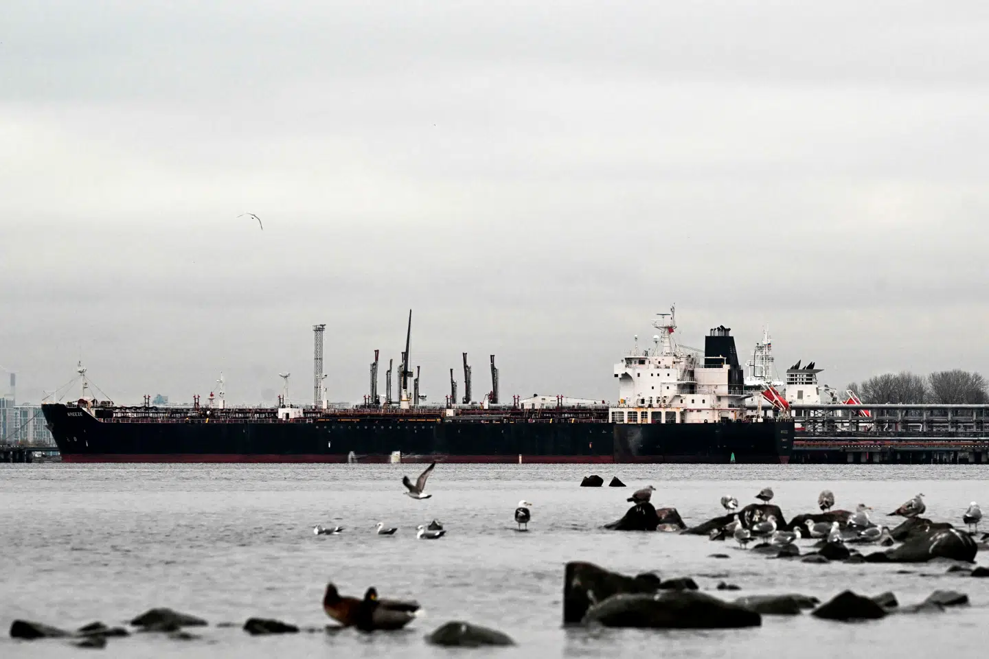 Et olietankskib ligger ved kaj ved olieterminalen i havnen i Sankt Petersborg 8. november. Rusland sender stadig færre tønder råolie af sted med tankskibe.