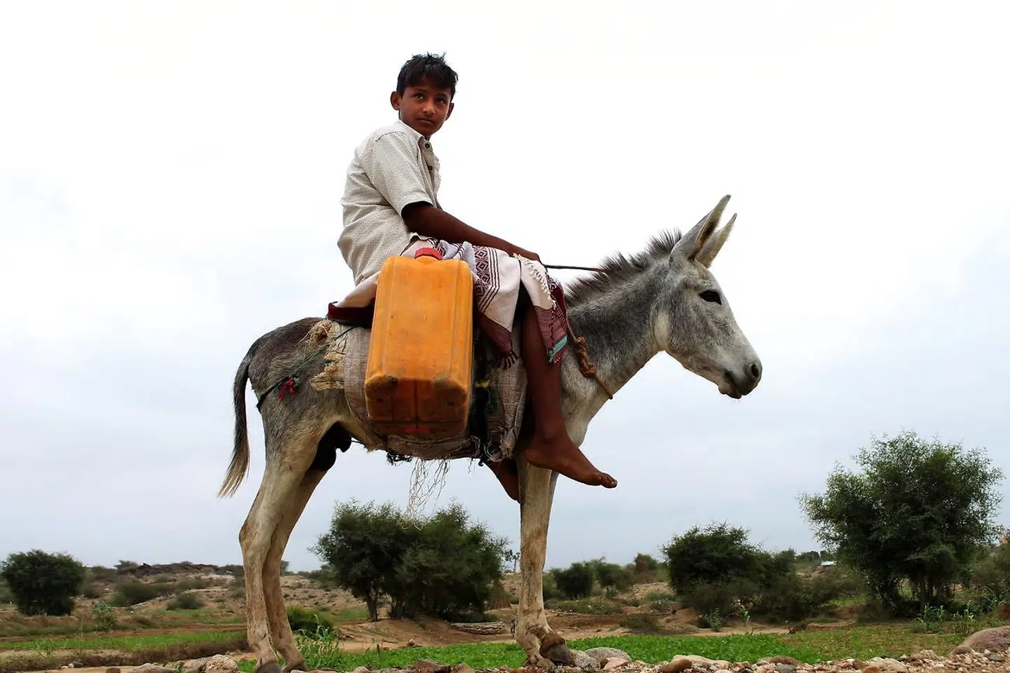 (Arkivfoto) En dreng rider på et æsel i det nordlige Yemen i 2019. ESSA AHMED / AFP.