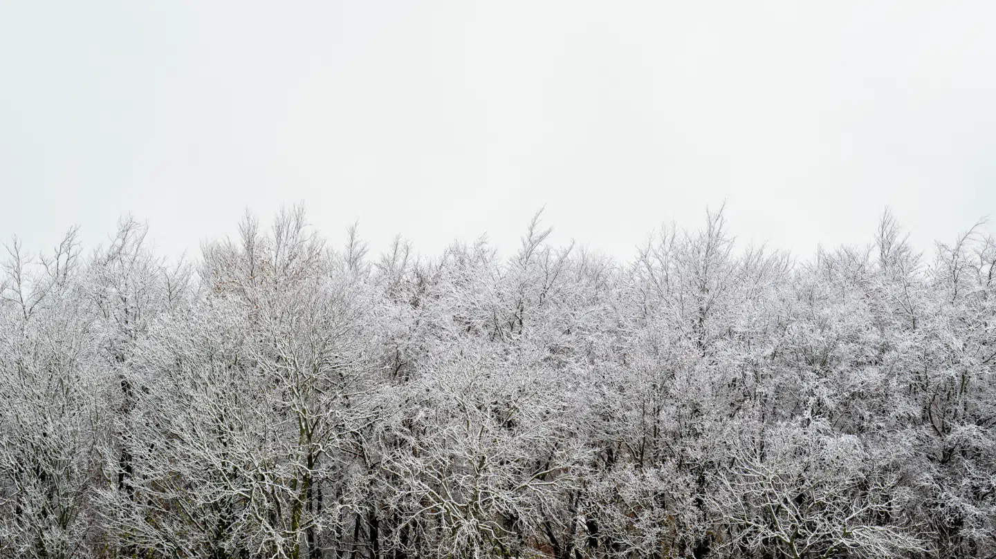 Det iskolde vejr påvirker lige nu flytrafikken i Københavns Lufthavn.