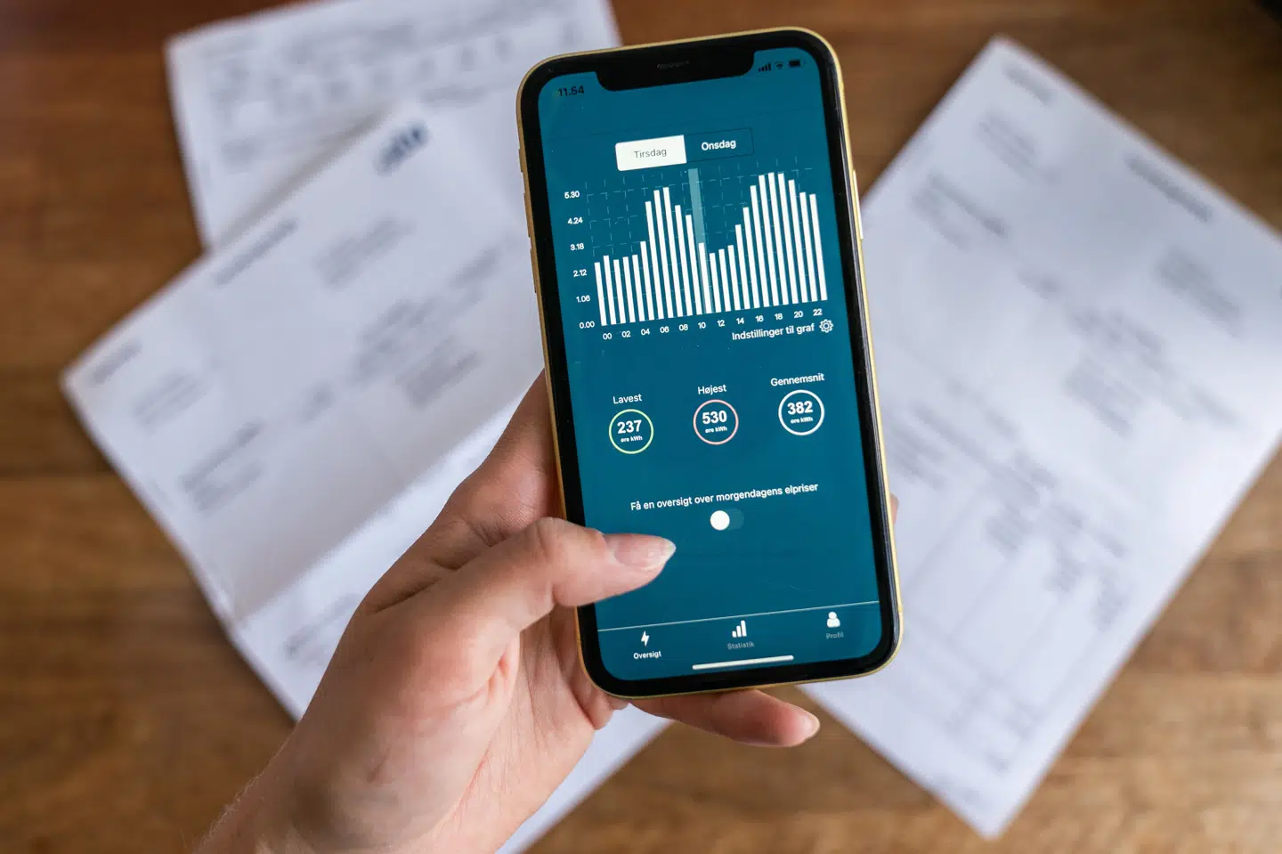 I en række tilfælde har danske elselskaber uberettiget sendt ekstra regninger til deres kunder i år. (Arkivfoto).