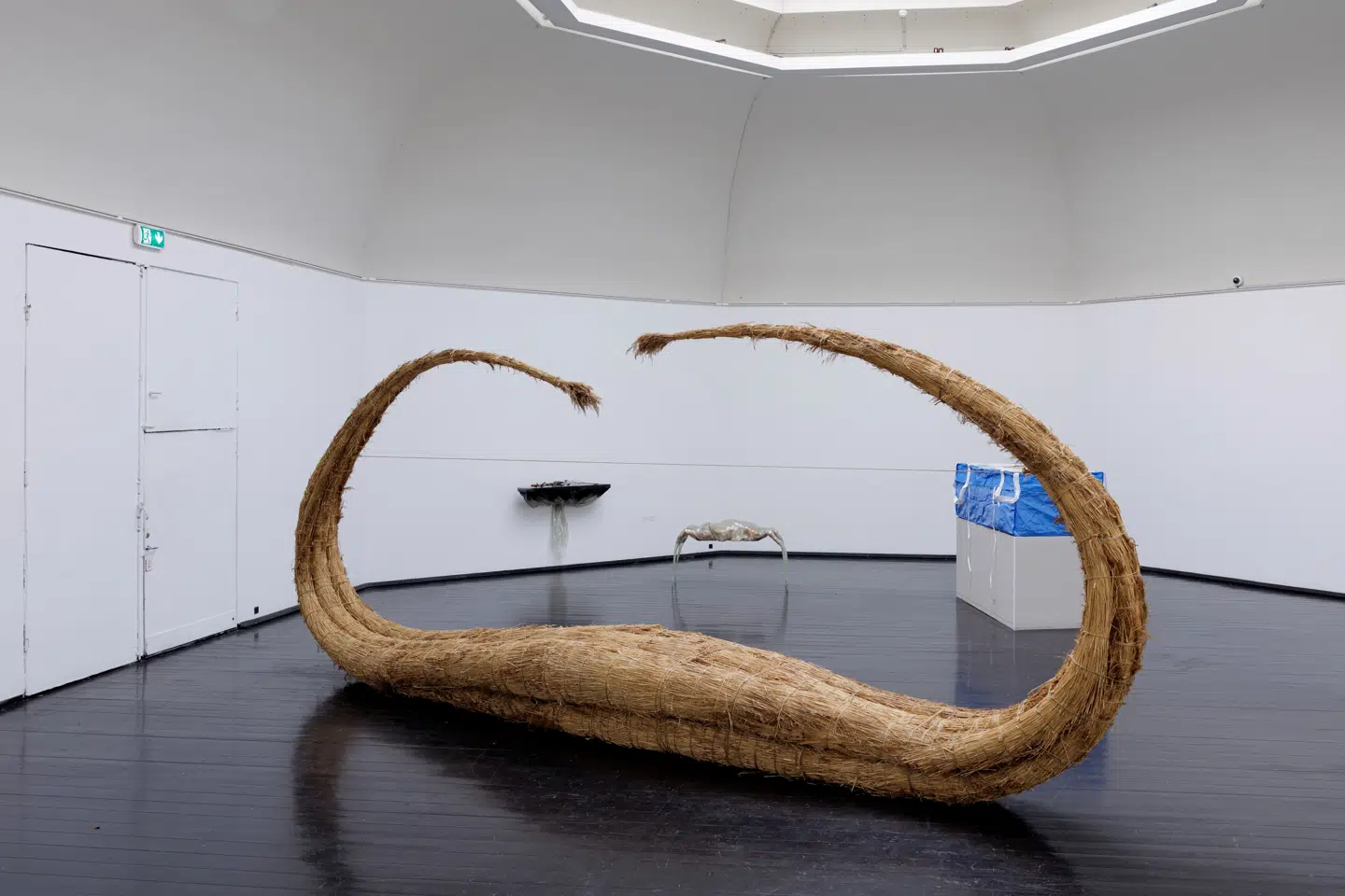 Rosa Halfdan Quistorff-Spaabæks tækkerørsbåd »Advanced Synergetics« minder om Thor Heyerdahls papyrusbåde fra 1970erne