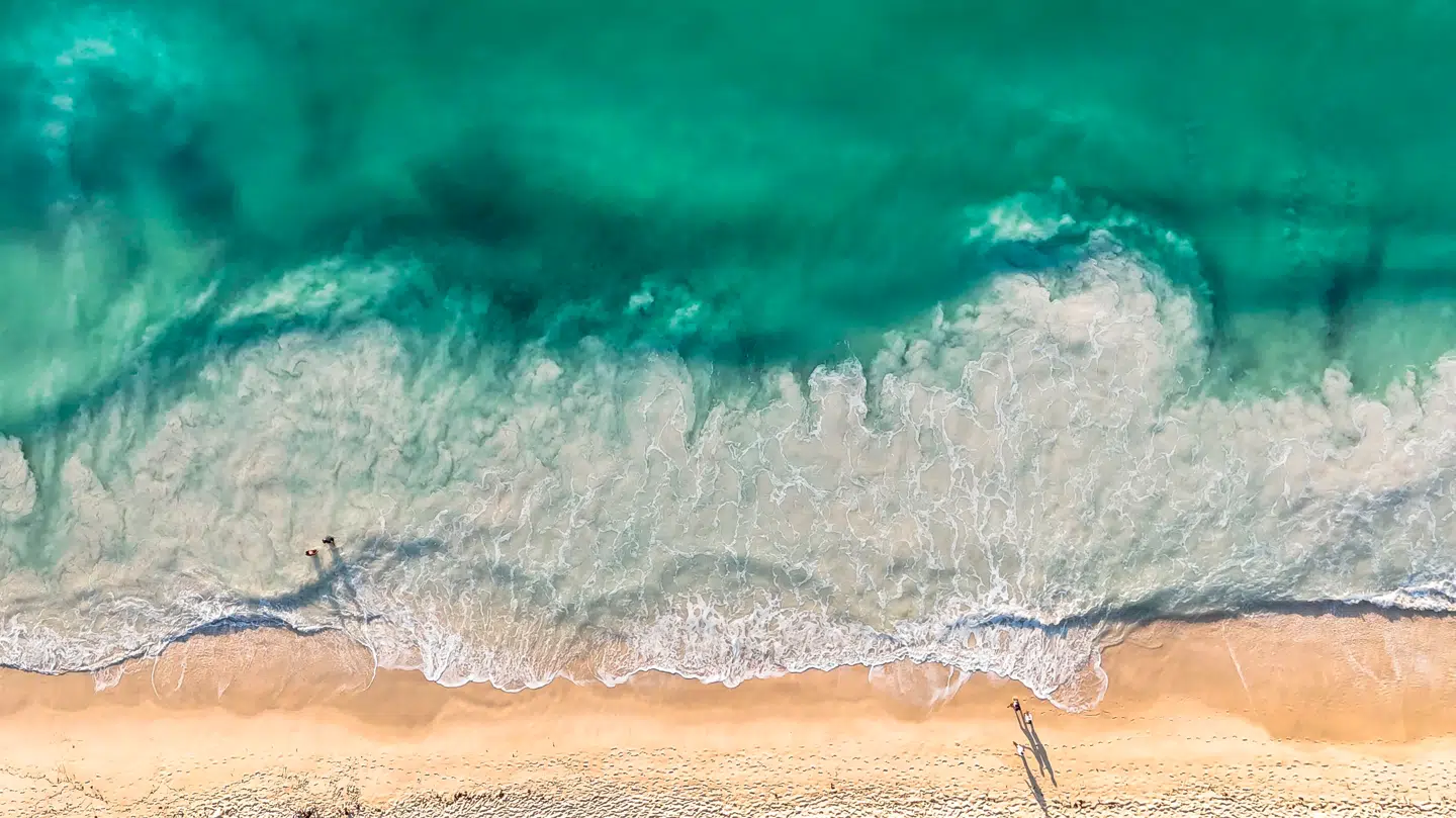 Trækker det her? Så husk lige at få styr på vaccinerne.