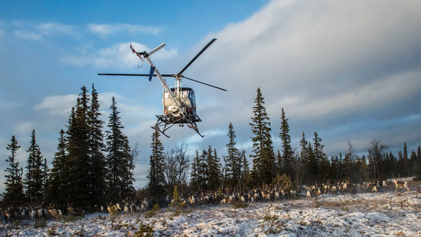 Ulykken er sket ved Vilhelmina (Arkivfoto).