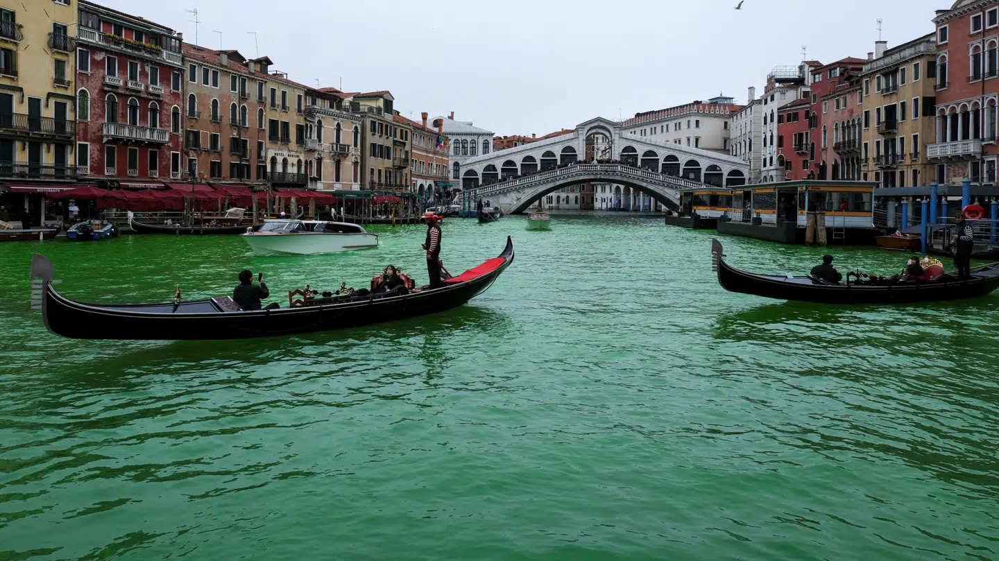 Venedigs kanaler ligner ikke sig selv, efter de lørdag er blevet farvet grønne af klimaaktivister.