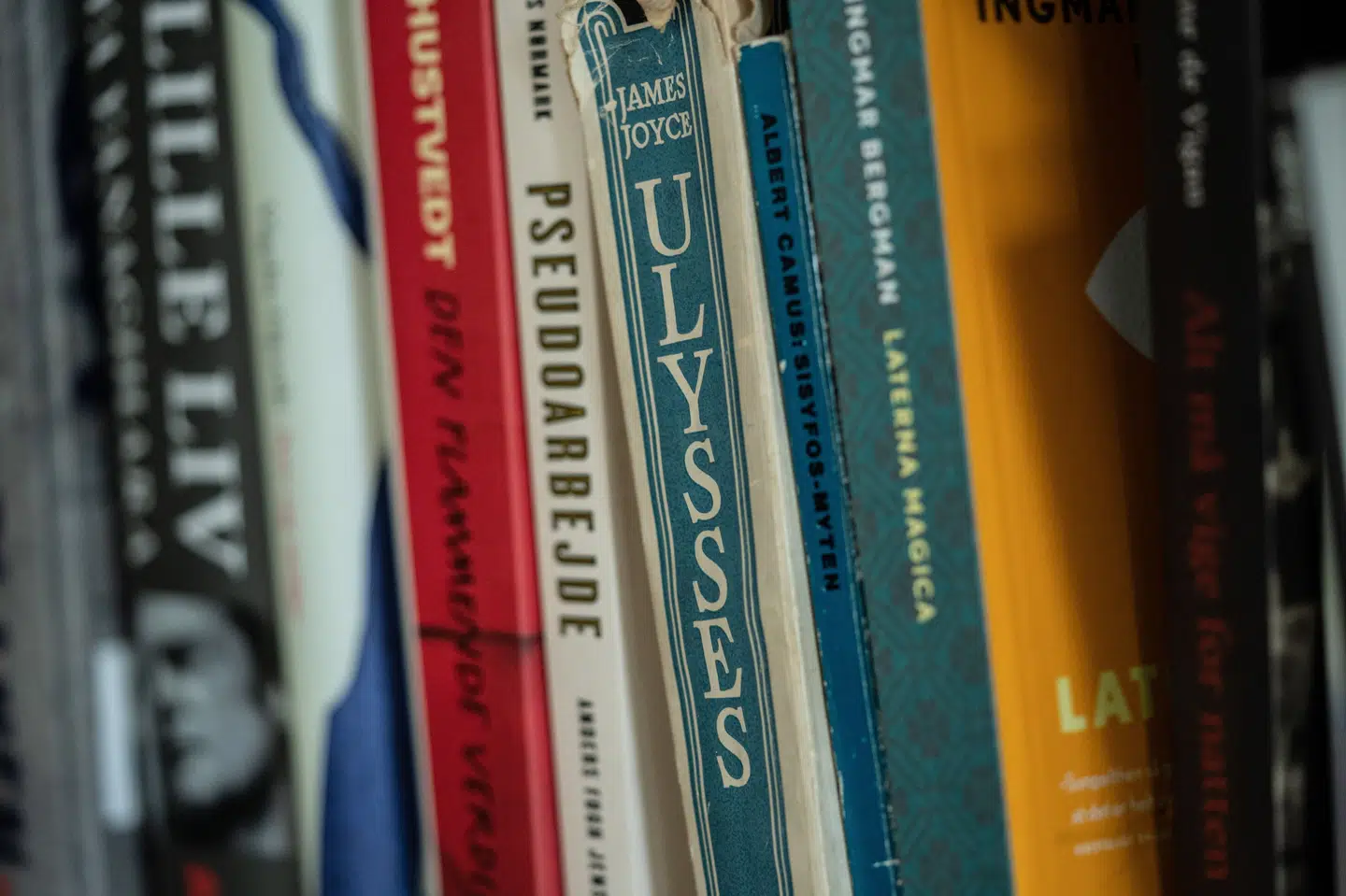 Den Danske Ordbog er et digitalt opslagsværk og ikke en fysisk bog, man ellers ville kunne finde i en bogreol. I stedet kan man tilgå opslagsværket på ordnet.dk. (Arkivfoto).