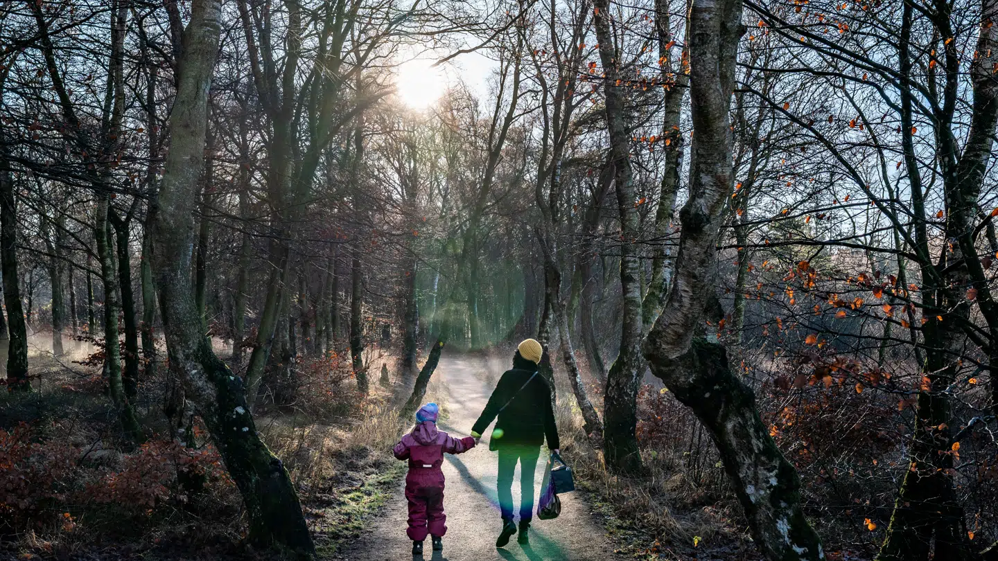 Regn, slud og blæst. Tirsdag kan der komme kig til solen.