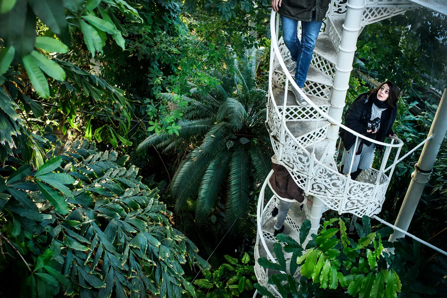 Køb adgang til kulturelle oplevelser på Black Friday. Du kan for eksempel komme et smut i Botanisk Have.