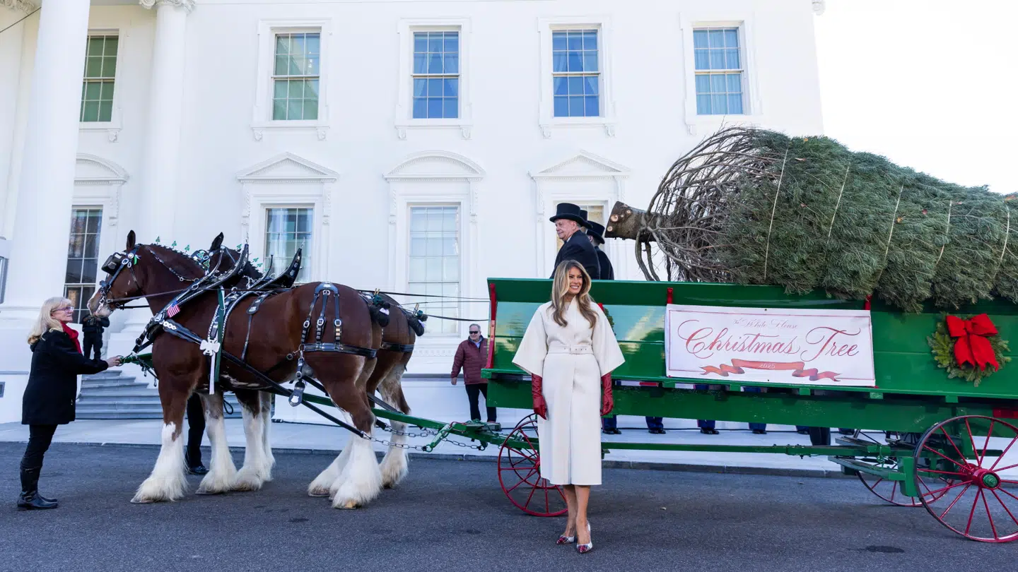 Mandag ankom det store juletræ, der over julen skal dekorere Det Hvide Hus.