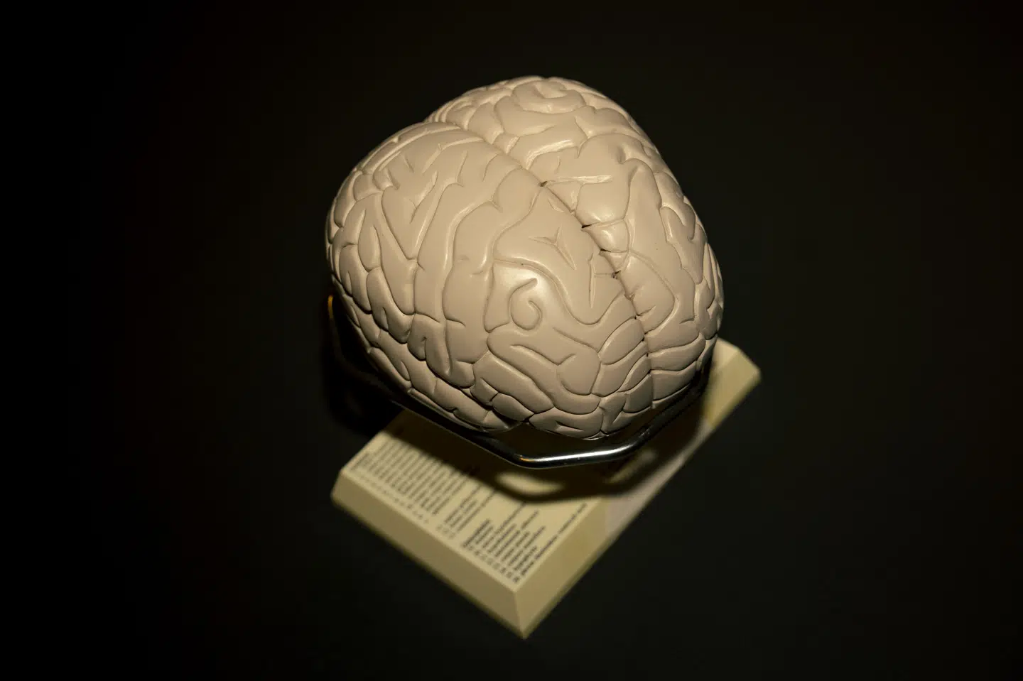 Et studie, hvor omkring 4000 personer har fået scannet deres hjerner, viser, at hjernen gennemgår fem faser gennem et liv med fire milepæle ved 9, 32, 66 og 83 år. (Arkivfoto).