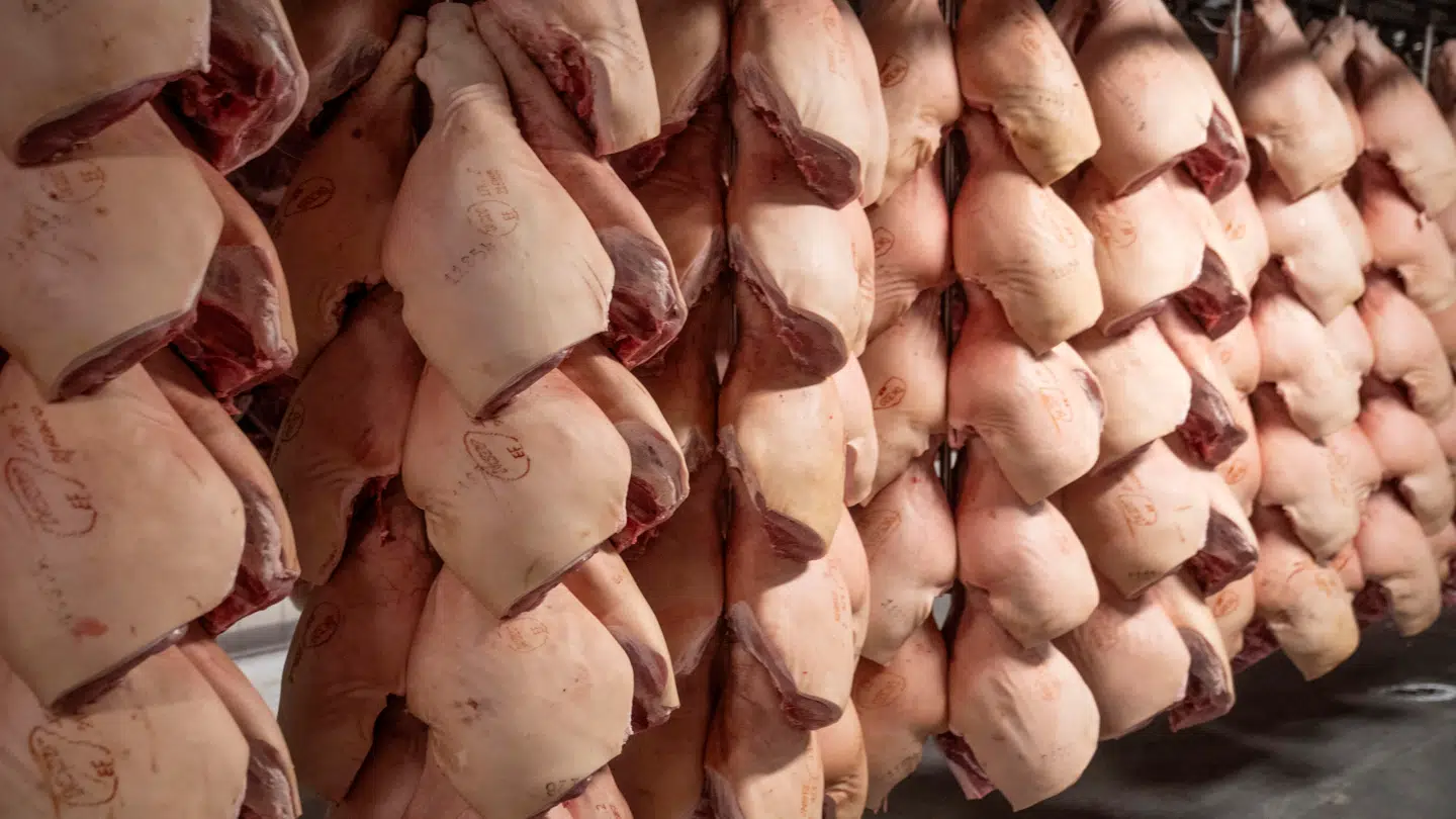 ARKIVFOTO. Billedet har ikke noget at gøre med den omtalte tv-udsendelse.