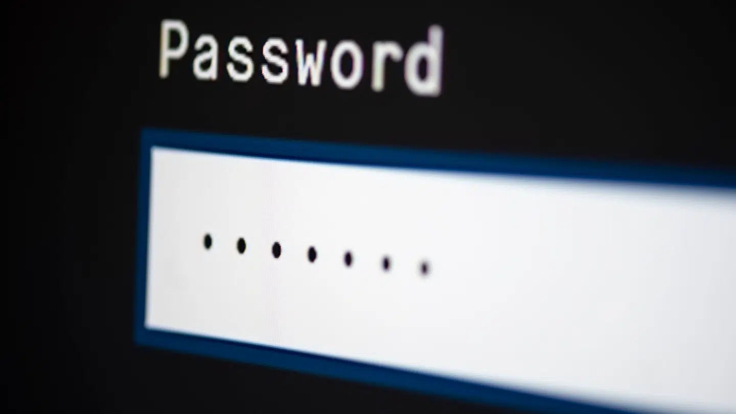 Rigtigt mange laver aldrig om på indholdet i dette felt.