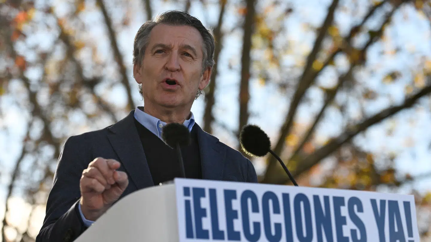 Lederen af Folkepartiet PP, Alberto Núñez Feijóo, taler under demonstrationen i Madrid