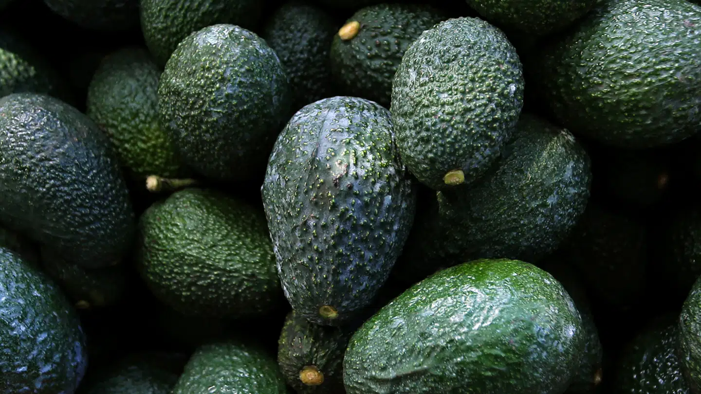 Nu skal det være slut med umodne avocadoer i Coops butikker.