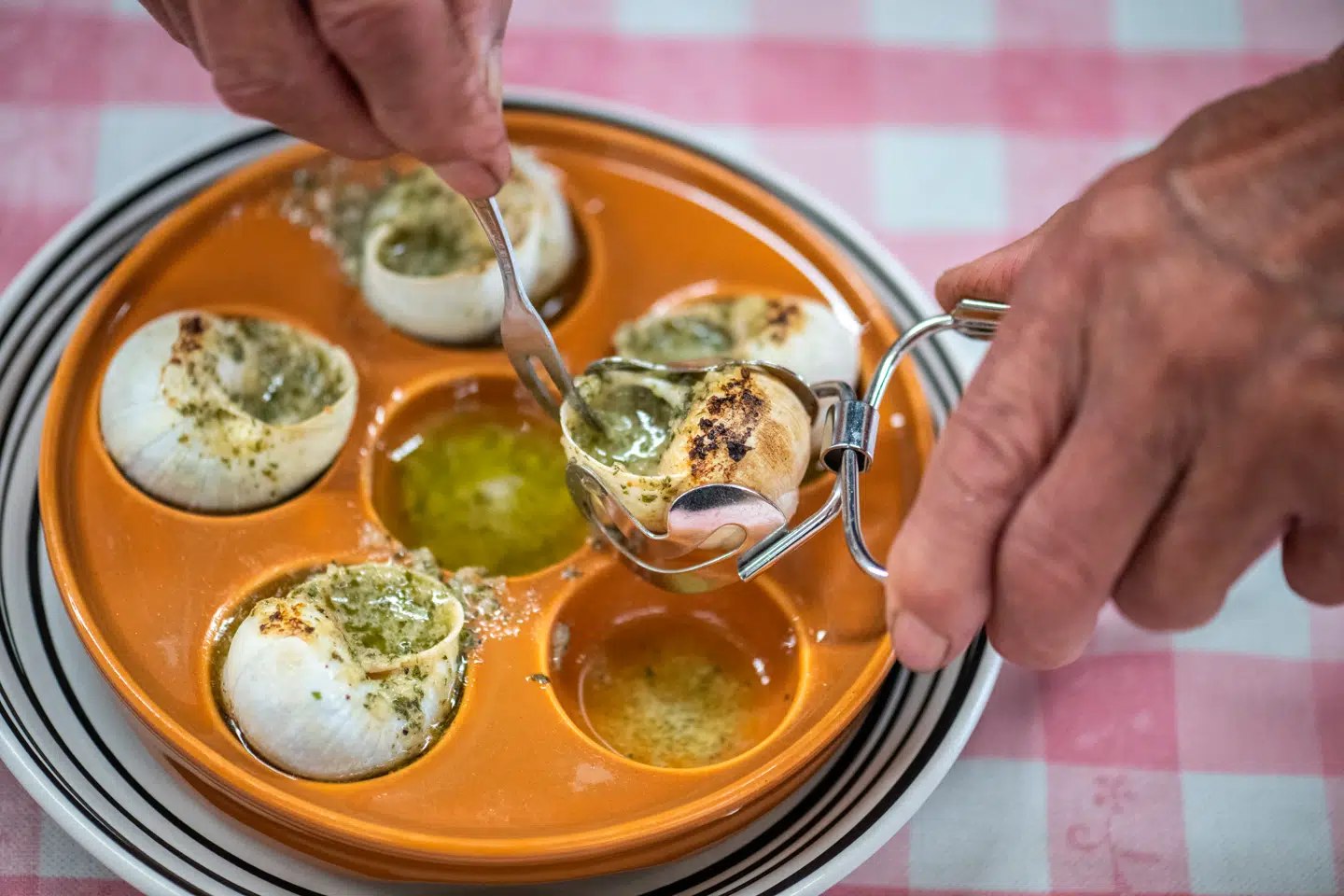 Snegle er en fransk delikatesse. De anrettes med smør, hvidløg og persille og kommer så i ovnen. Julen er højsæson for sneglespisningen – men nu har snegletyve været på spil.