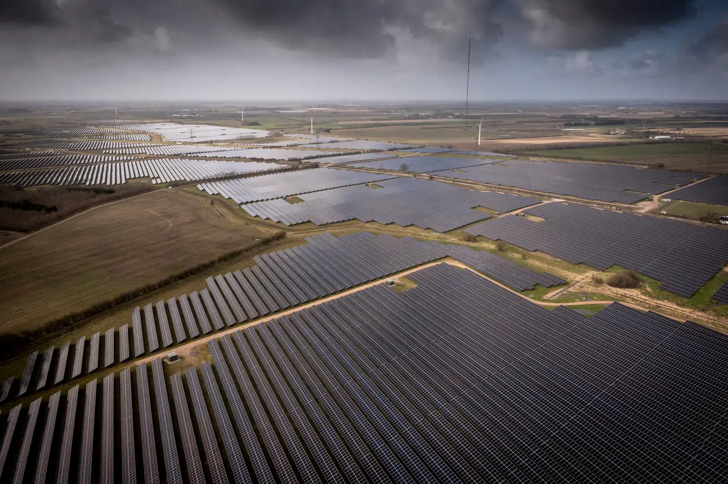 »Det er forkasteligt, at det for en landmand bedre kan betale sig at sælge som mark til solcelleparkejere end selv at dyrke marken,« skriver Erik Walther Nielsen. Foto: Mads Claus Rasmussen/Ritzau Scanpix