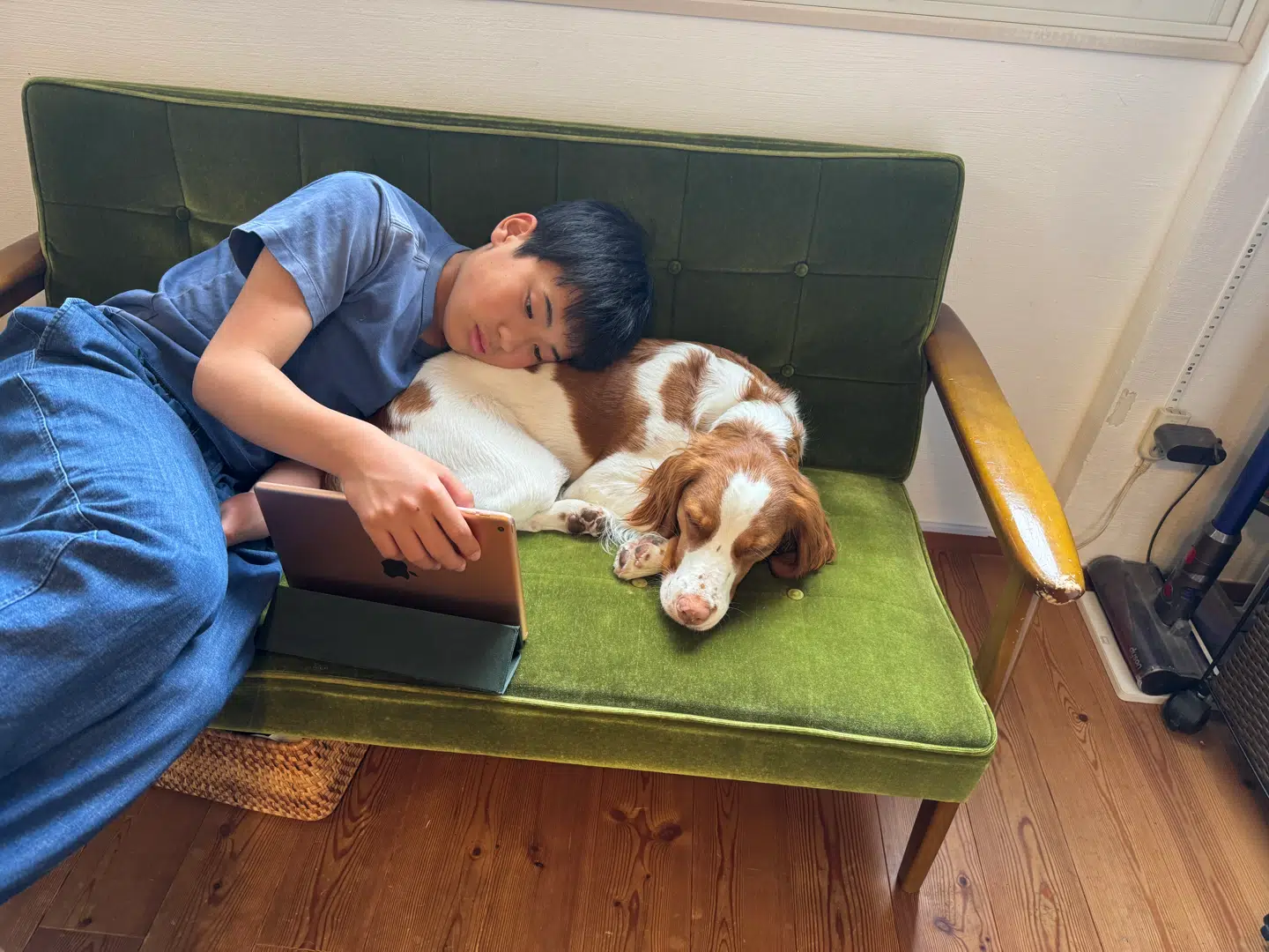 Et tæt forhold mellem hund og menneske kan føre til en gavnlig udveksling af bakterier. Foto: Ai Tsujimura