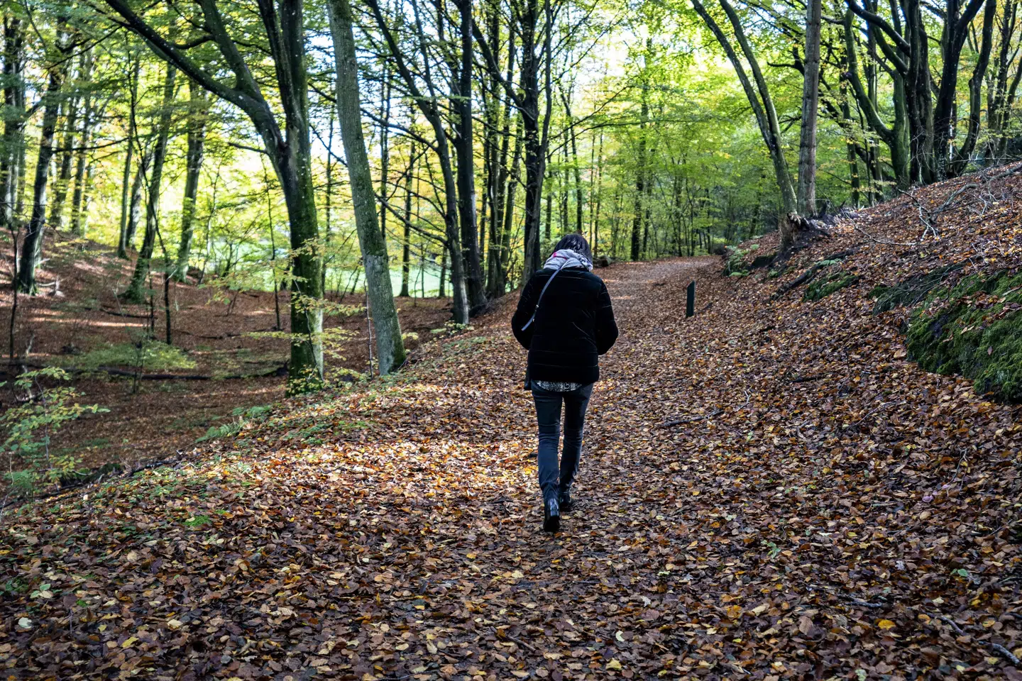 Temperaturen var både varmere og solskinstimerne var flere end normalt i de foregående efterårsmåneder. (Arkivfoto).
