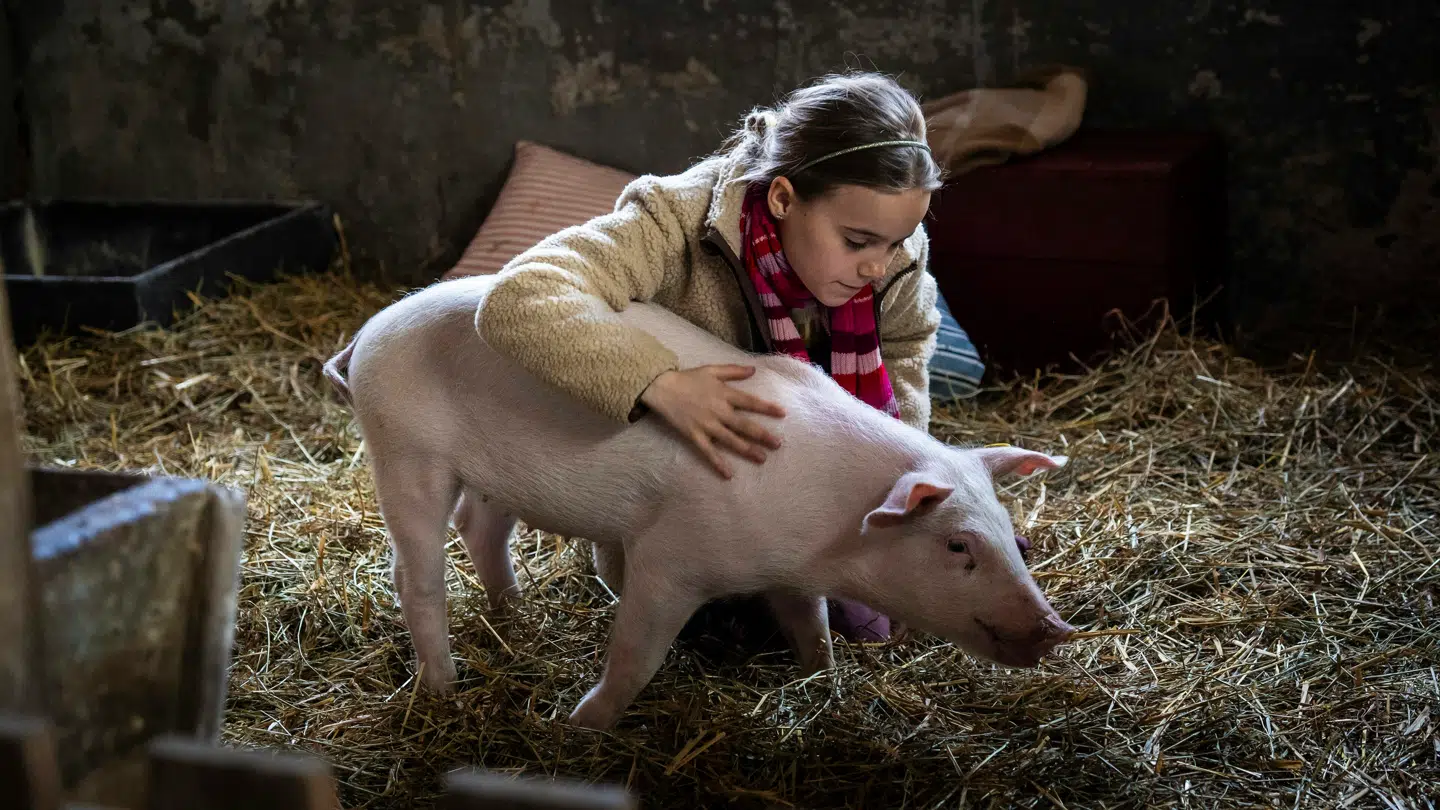 Valdes lillesøster med familiens nye gris.