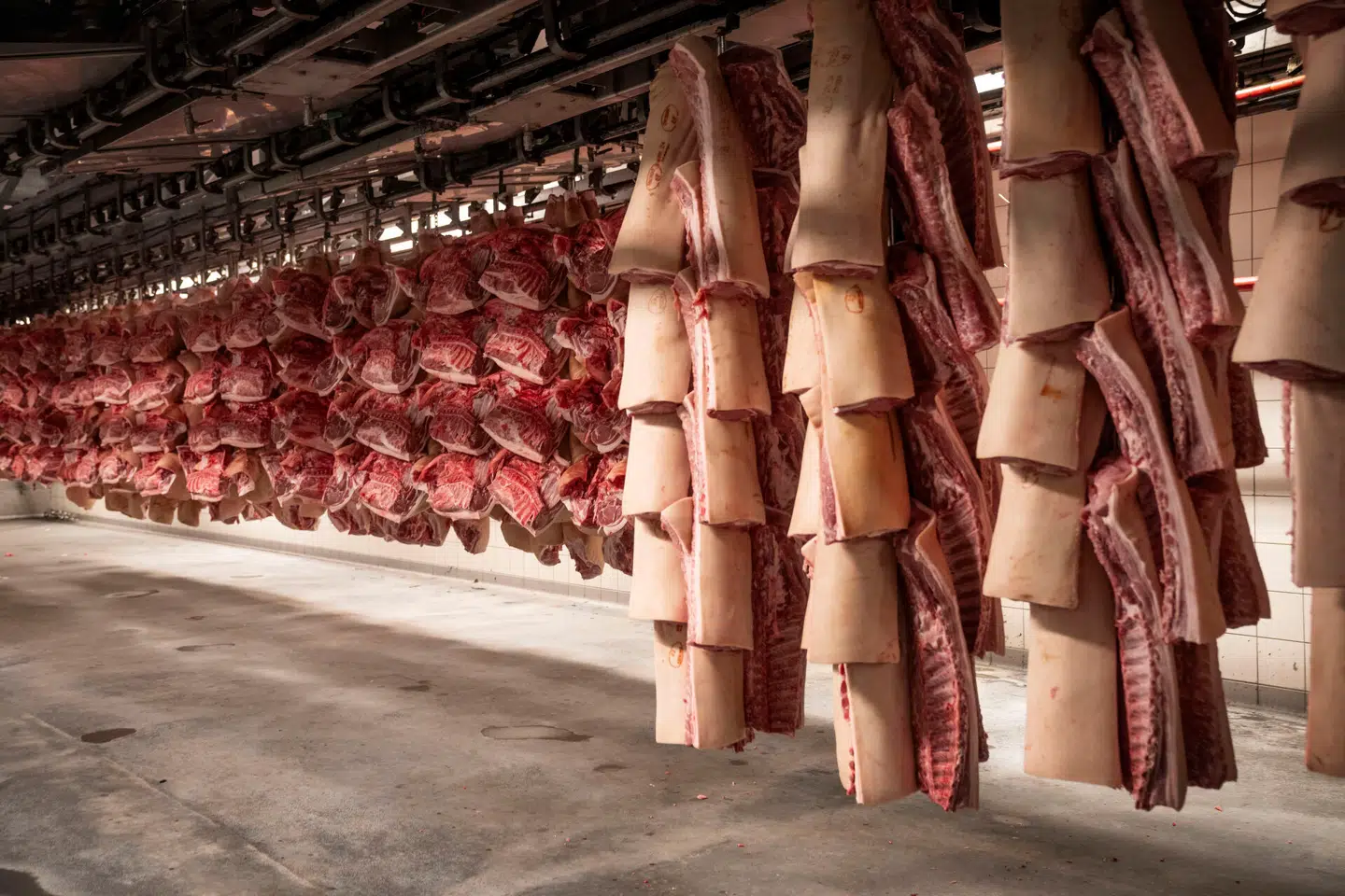 Danish Crown i Horsens. Arkivfoto: Bo Amstrup, Scanpix