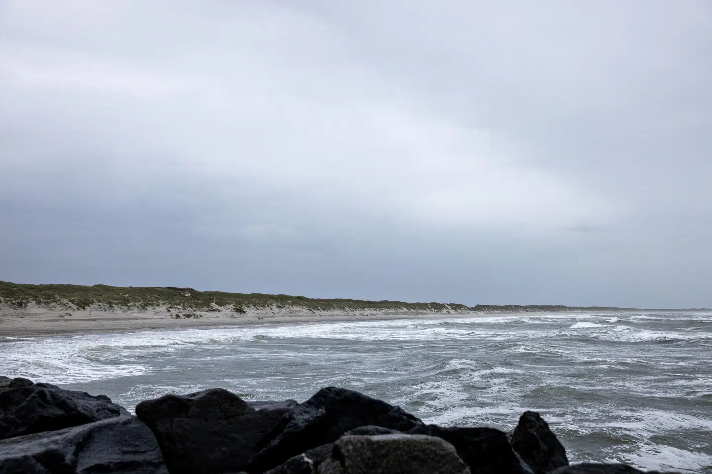 Tænketanken Hav vil have en standard for beskyttede havområder i Danmark, hvor det ikke er tilladt at bygge ny infrastruktur som havvindmøller eller dumpe materiale. (Arkivfoto).