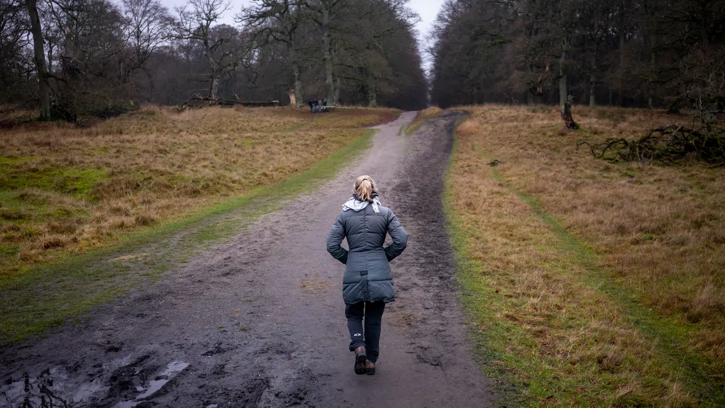 Vejret de kommende dage bliver gråt med gråt på. (Arkivfoto)